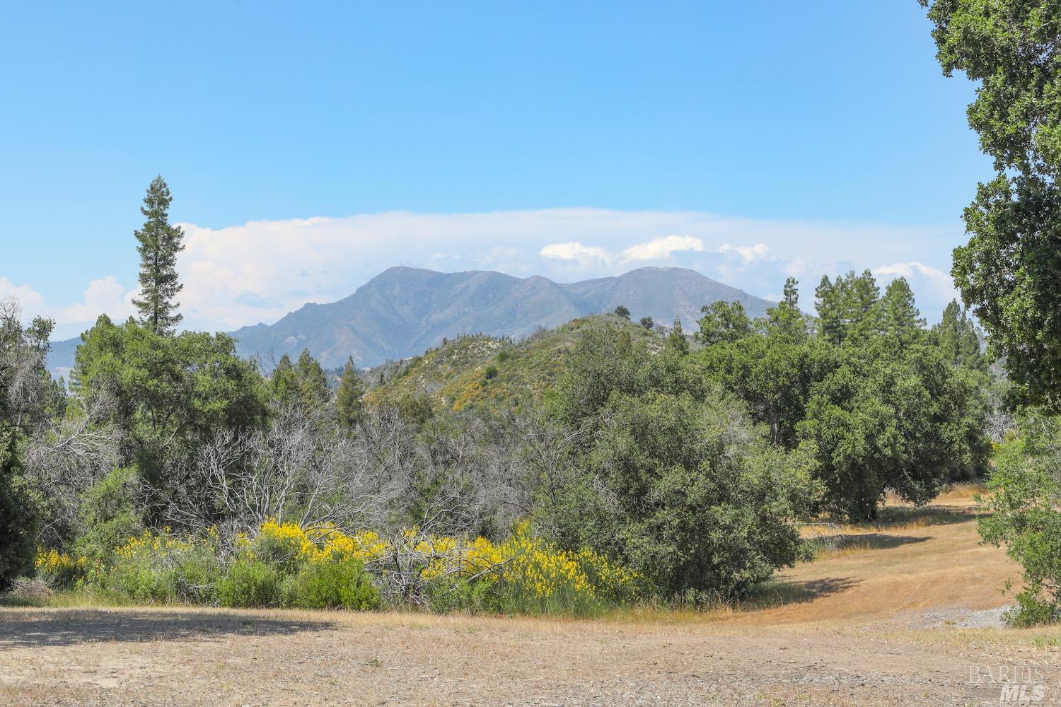 Detail Gallery Image 7 of 54 For 4100 Petrified Forest Rd, Calistoga,  CA 94515 - – Beds | – Baths