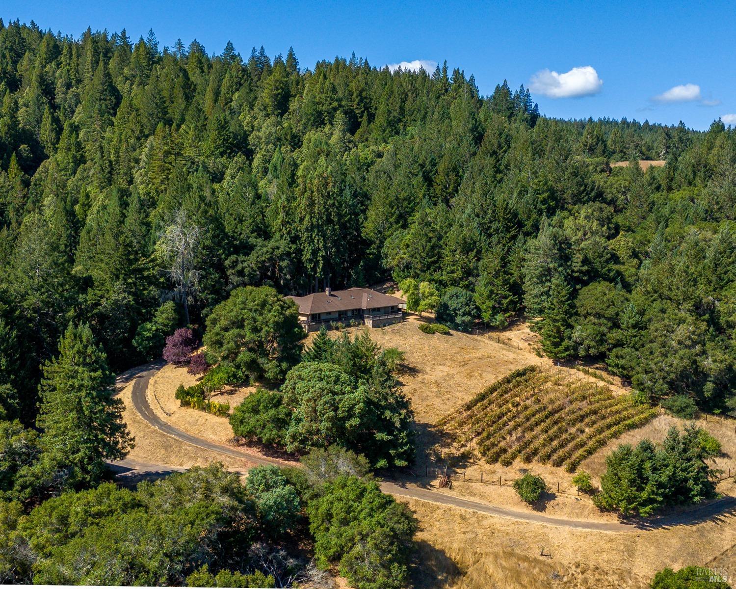 Detail Gallery Image 3 of 31 For 10580 Anderson Valley Way, Boonville,  CA 95415 - 3 Beds | 3 Baths