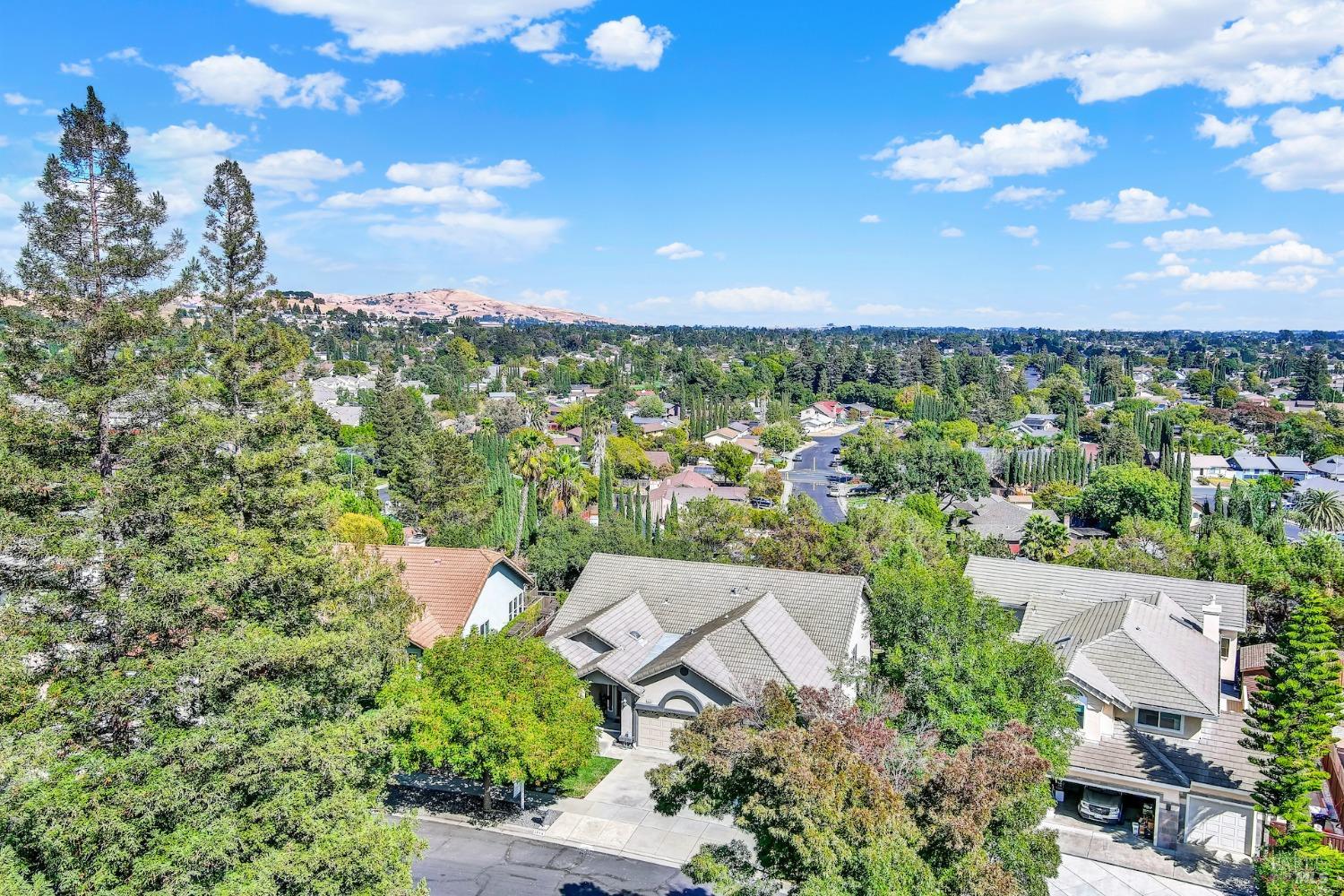 Detail Gallery Image 54 of 61 For 1778 Gillespie Dr, Fairfield,  CA 94534 - 3 Beds | 2 Baths