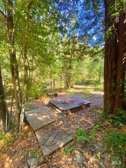 Detail Gallery Image 8 of 32 For 8189 Tyrone Rd, Occidental,  CA 95462 - – Beds | – Baths