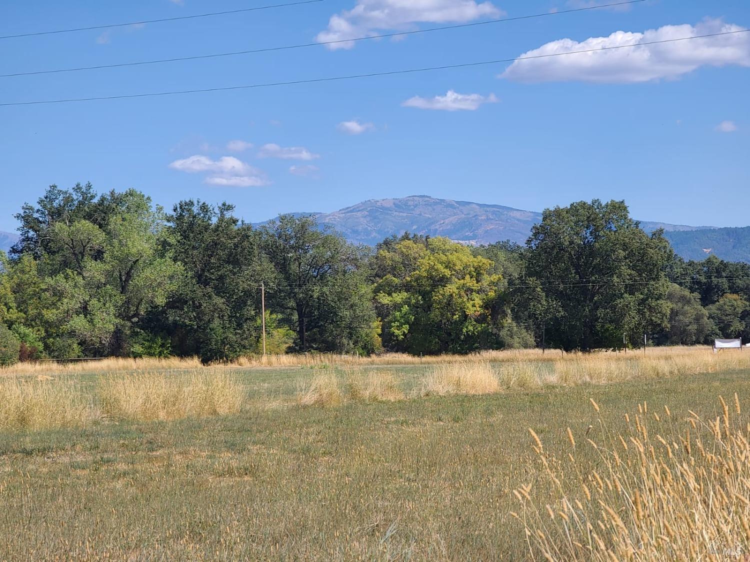 Detail Gallery Image 52 of 56 For 75500 Covelo Rd, Covelo,  CA 95428 - 4 Beds | 2 Baths