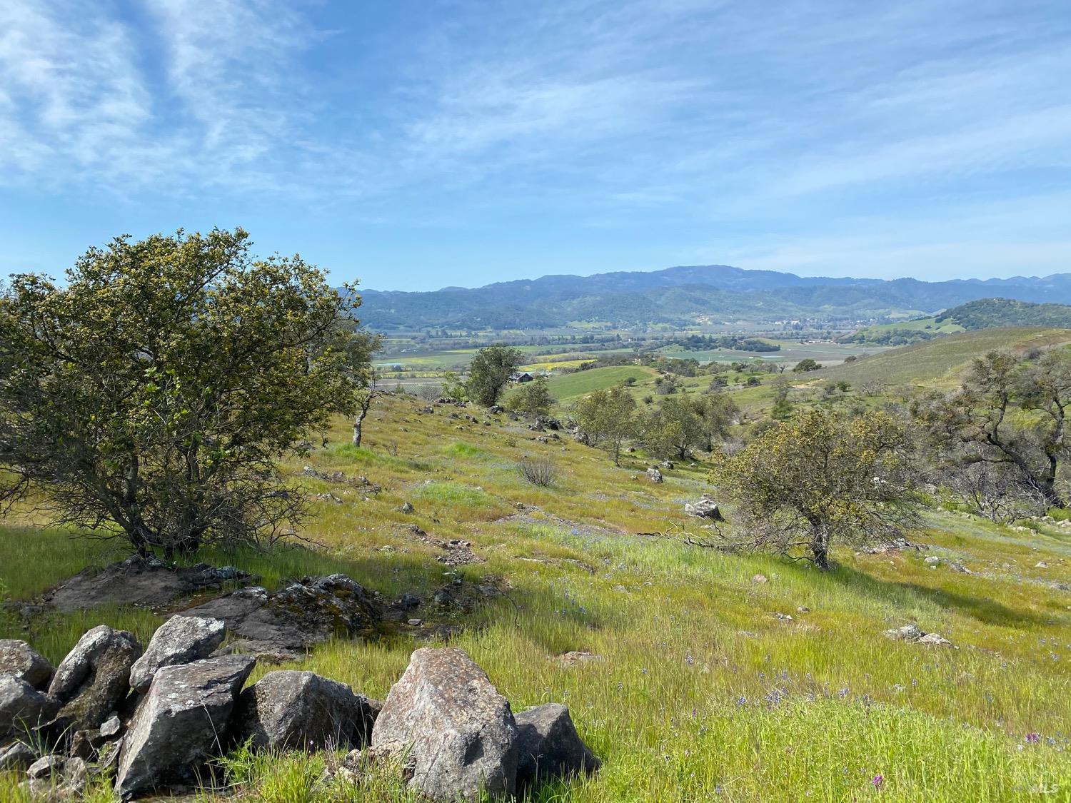 Detail Gallery Image 8 of 48 For 0 Chimney Rock Rd, Napa,  CA 94558 - – Beds | – Baths