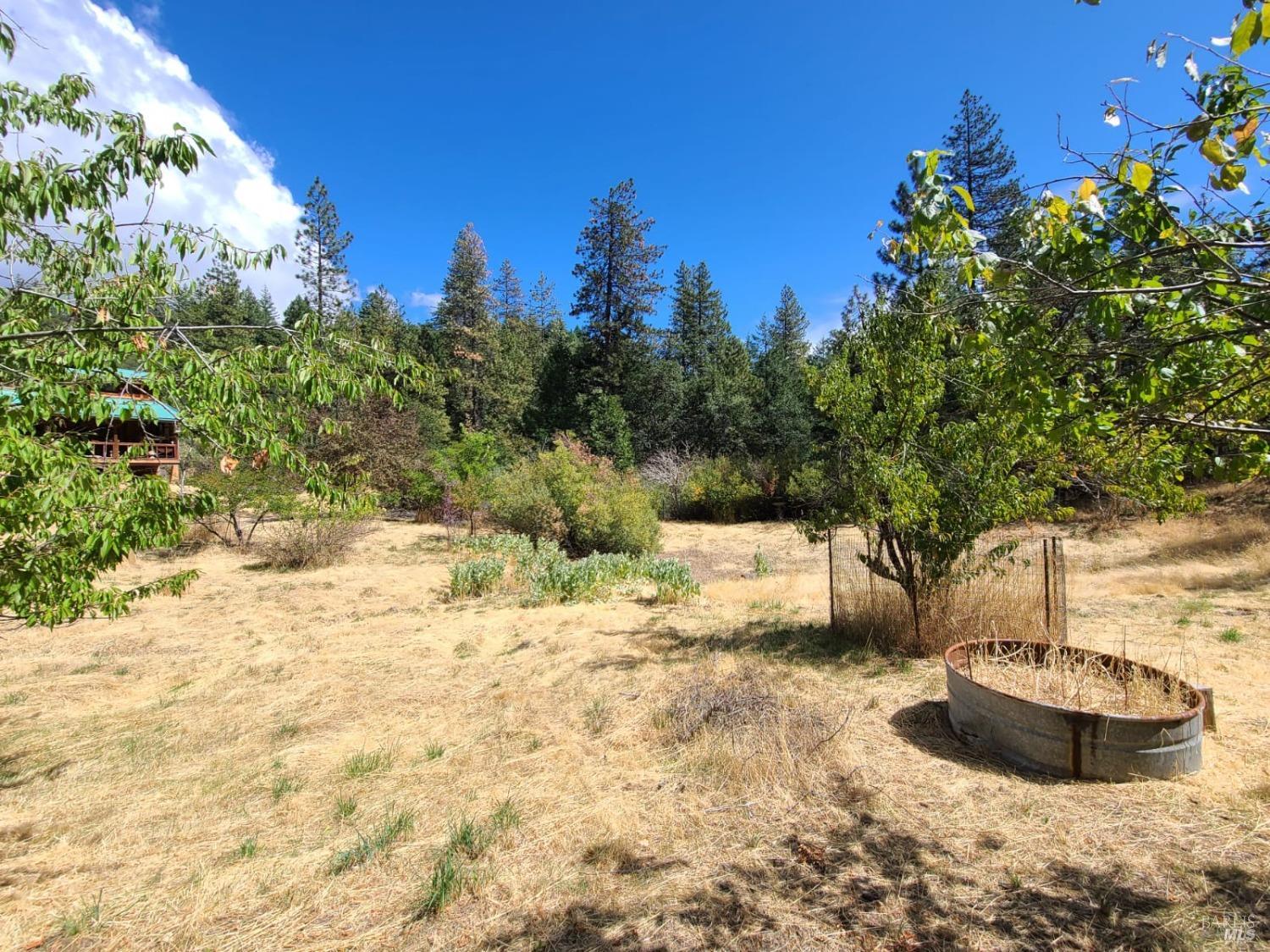 Detail Gallery Image 64 of 69 For Address Is Not Disclosed, Covelo,  CA 95428 - 3 Beds | 0/1 Baths