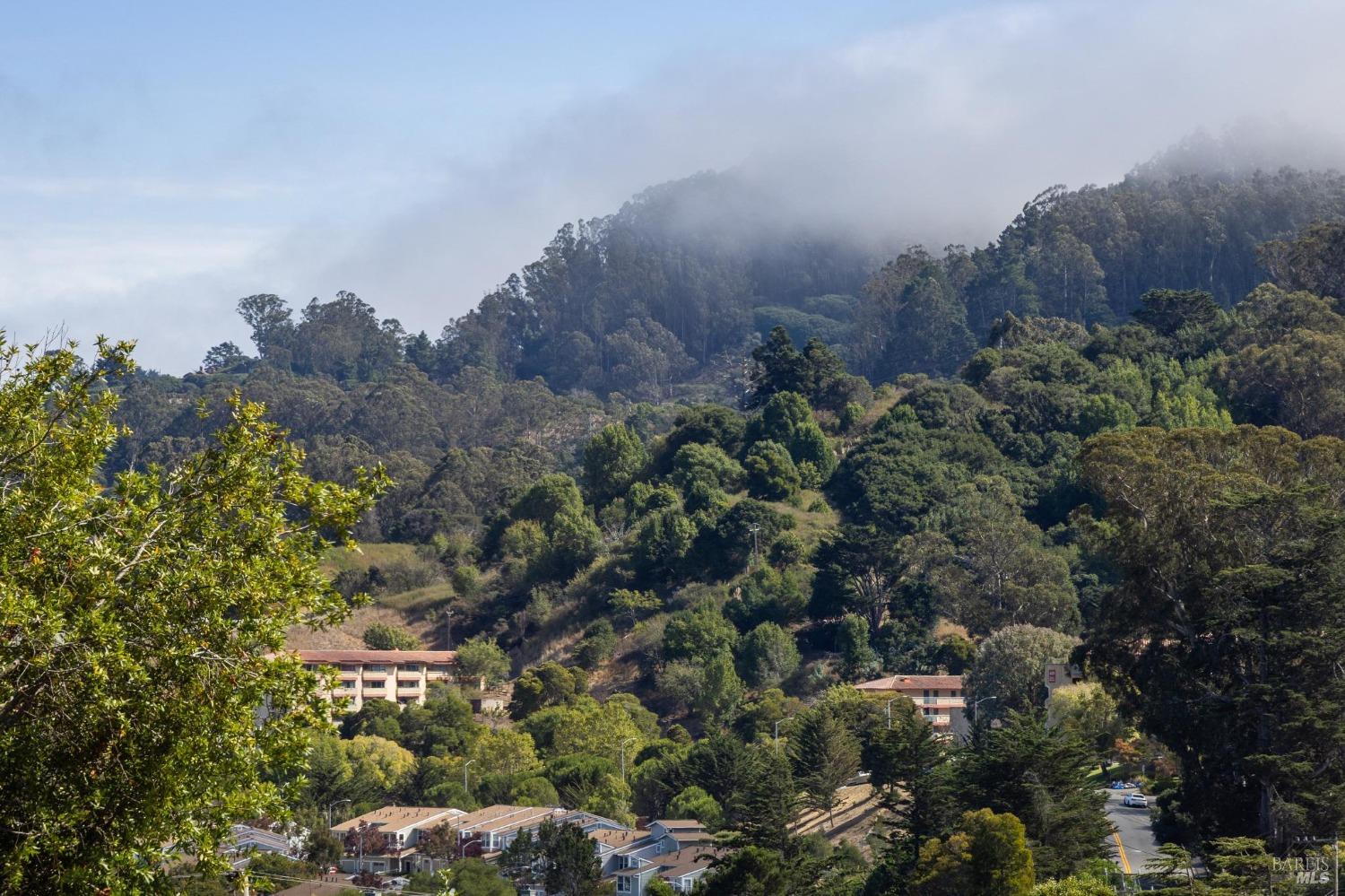 Detail Gallery Image 17 of 23 For 28 Buckelew St, Sausalito,  CA 94965 - 3 Beds | 1 Baths