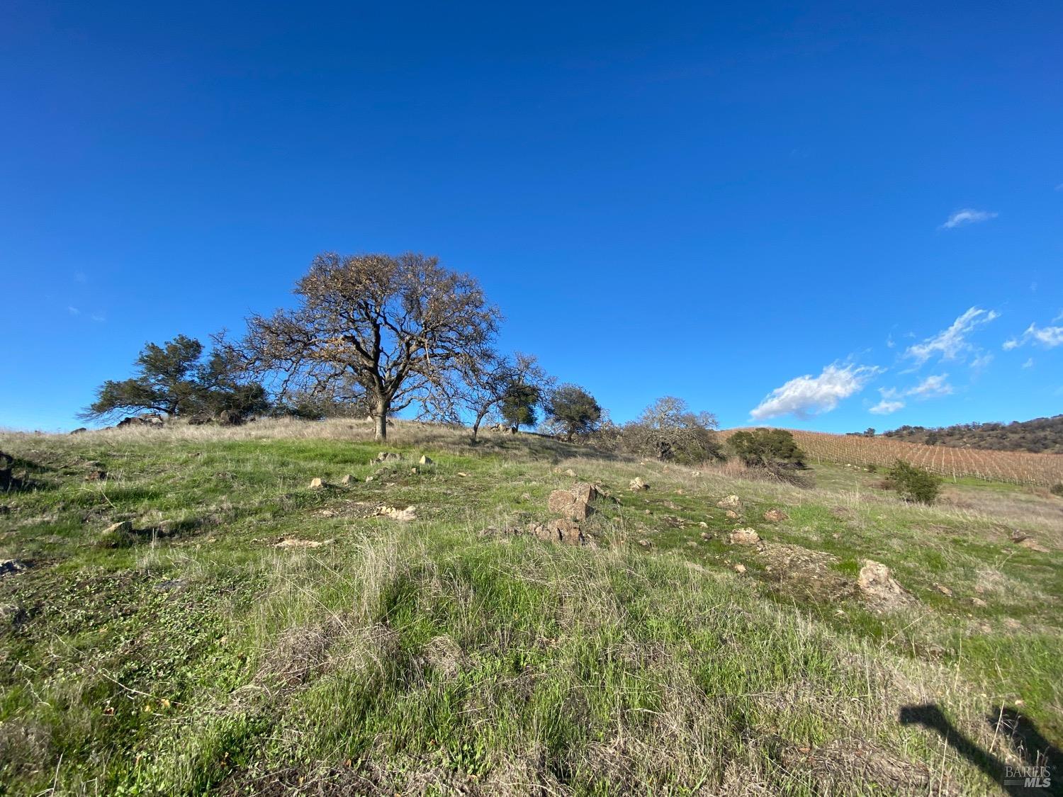 Detail Gallery Image 11 of 48 For 0 Chimney Rock Rd, Napa,  CA 94558 - – Beds | – Baths