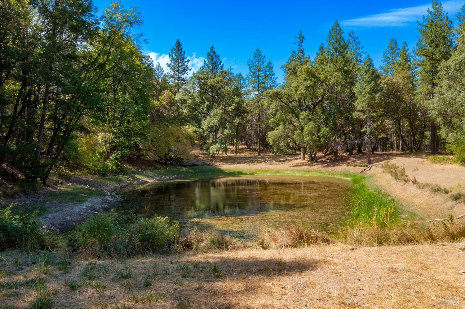 Detail Gallery Image 60 of 62 For 58380 Ca-162 Hwy, Covelo,  CA 95428 - – Beds | – Baths