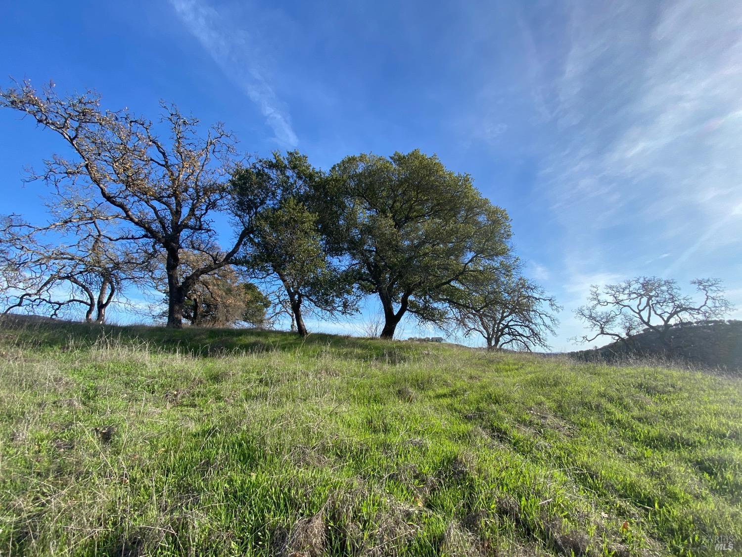 Detail Gallery Image 2 of 48 For 0 Chimney Rock Rd, Napa,  CA 94558 - – Beds | – Baths