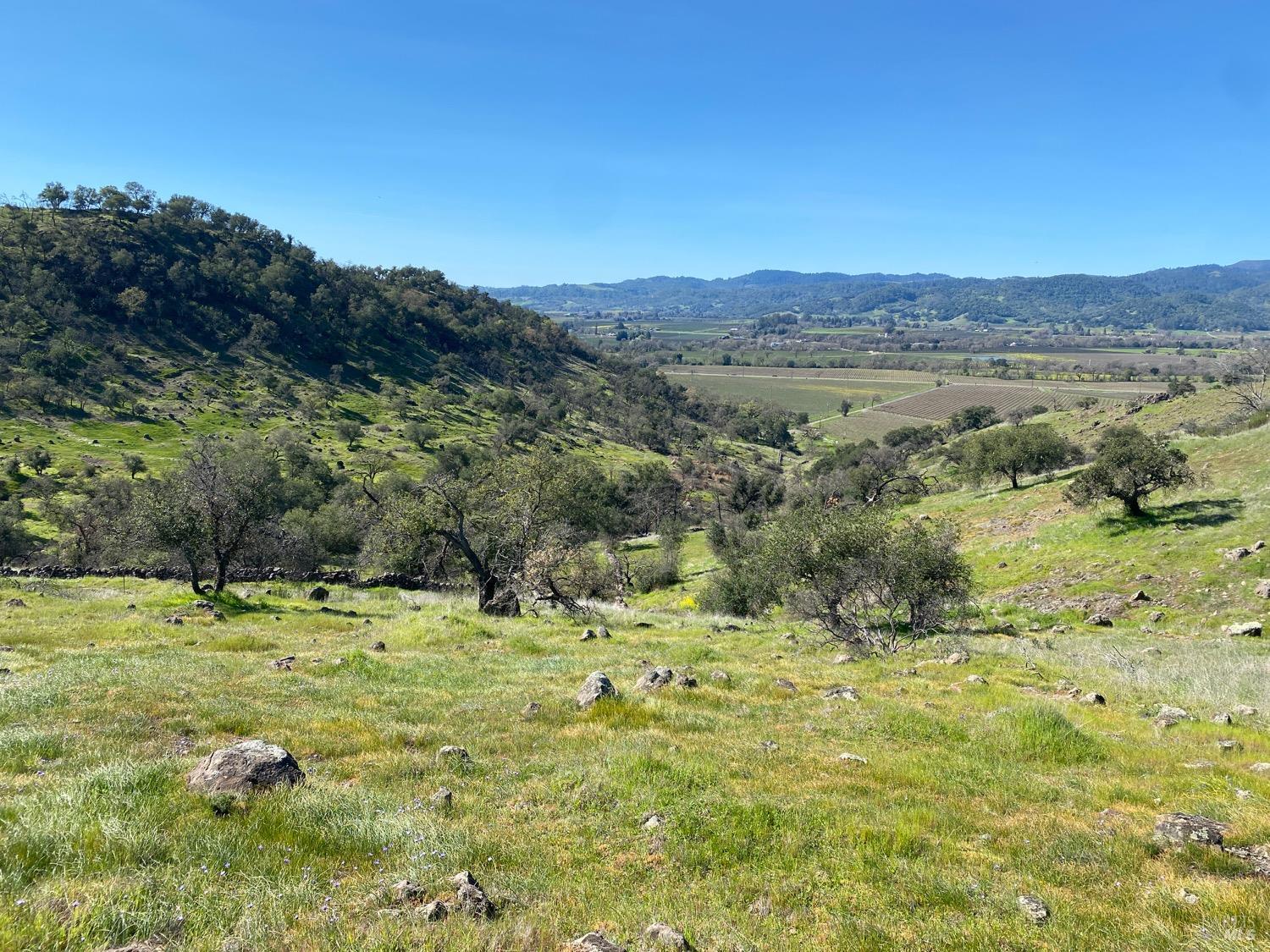 Detail Gallery Image 12 of 48 For 0 Chimney Rock Rd, Napa,  CA 94558 - – Beds | – Baths