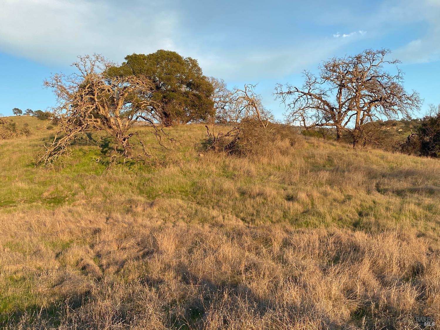 Detail Gallery Image 32 of 48 For 0 Chimney Rock Rd, Napa,  CA 94558 - – Beds | – Baths