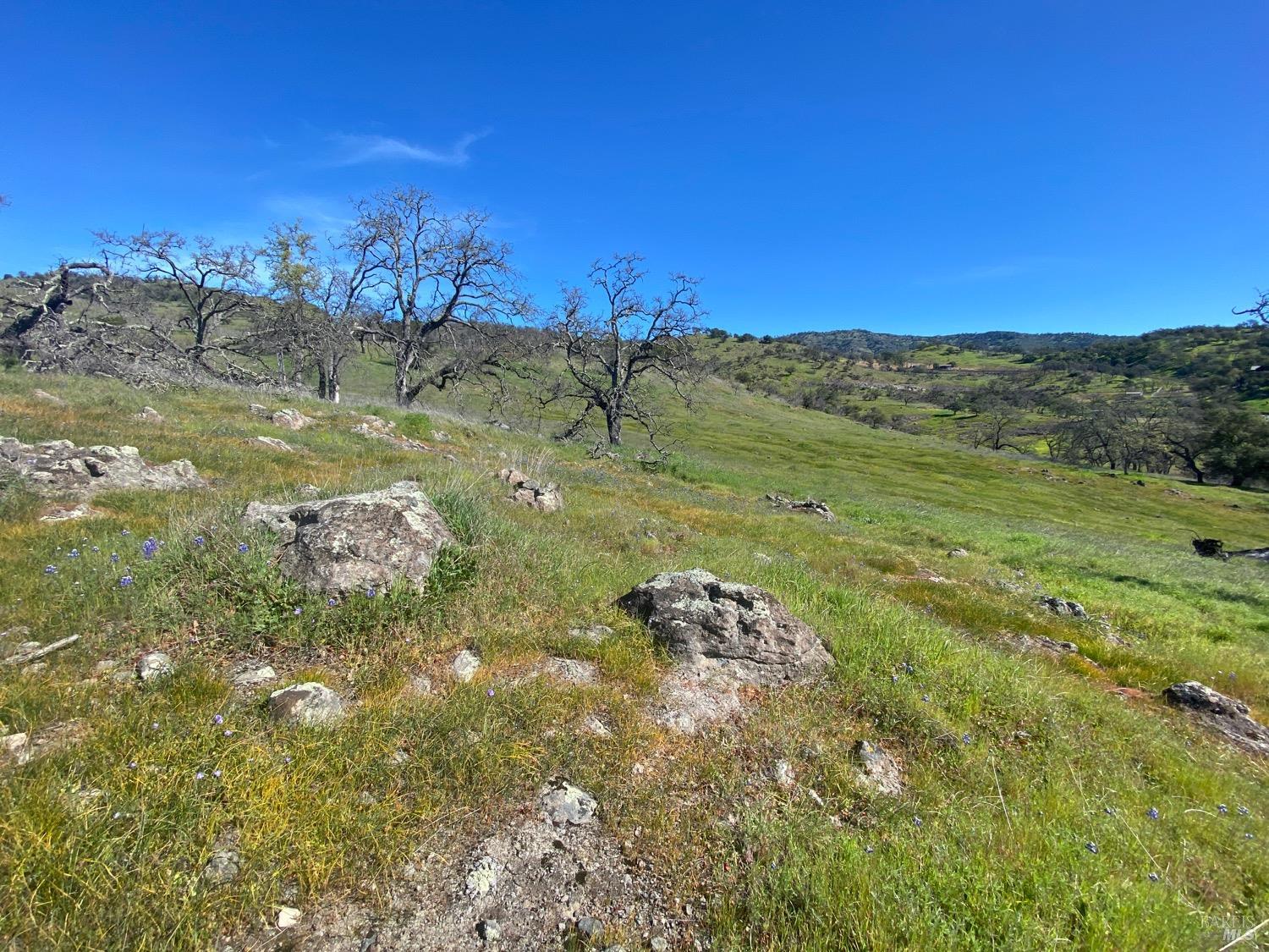 Detail Gallery Image 10 of 48 For 0 Chimney Rock Rd, Napa,  CA 94558 - – Beds | – Baths