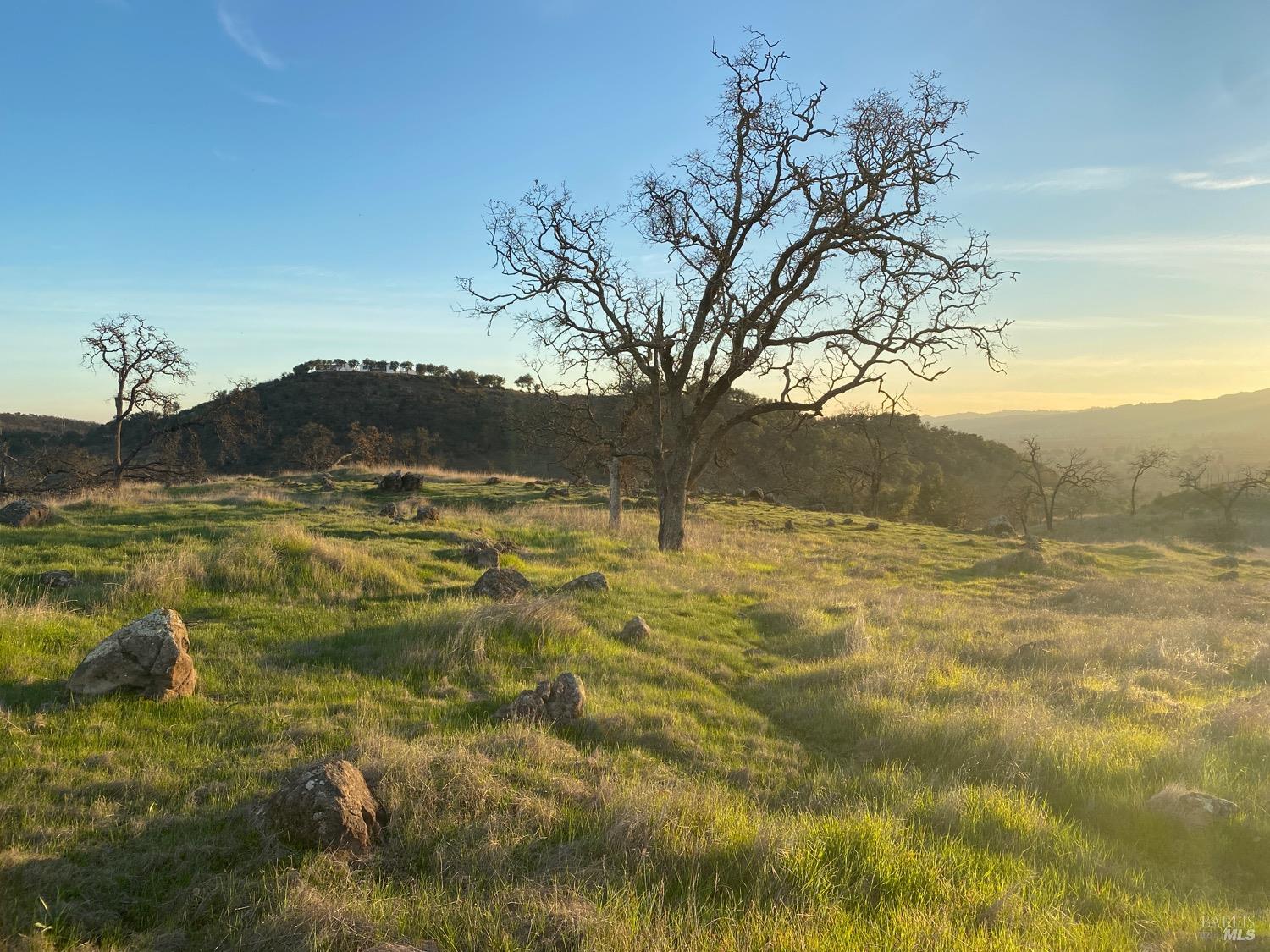 Detail Gallery Image 30 of 48 For 0 Chimney Rock Rd, Napa,  CA 94558 - – Beds | – Baths