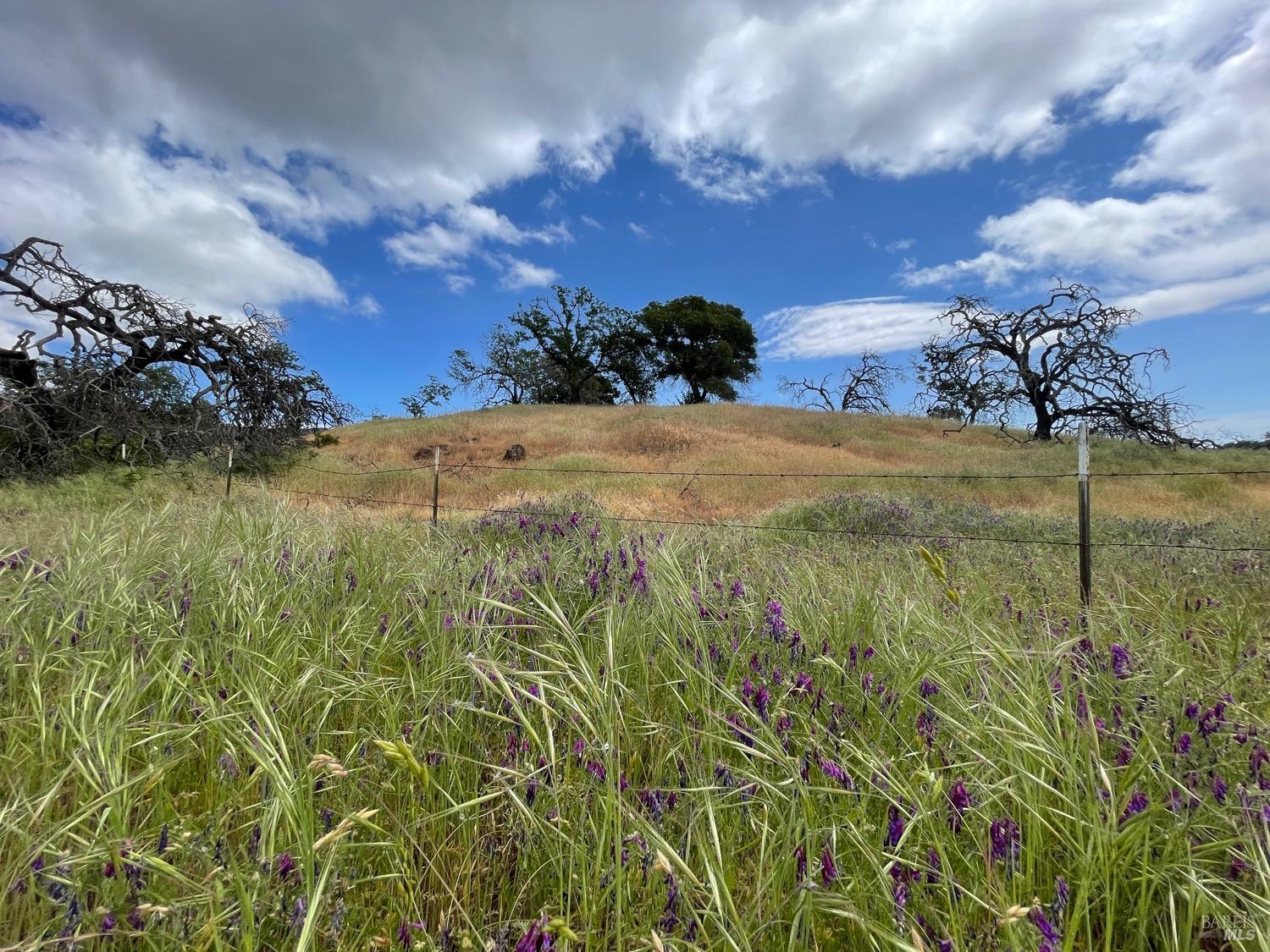 Detail Gallery Image 47 of 48 For 0 Chimney Rock Rd, Napa,  CA 94558 - – Beds | – Baths