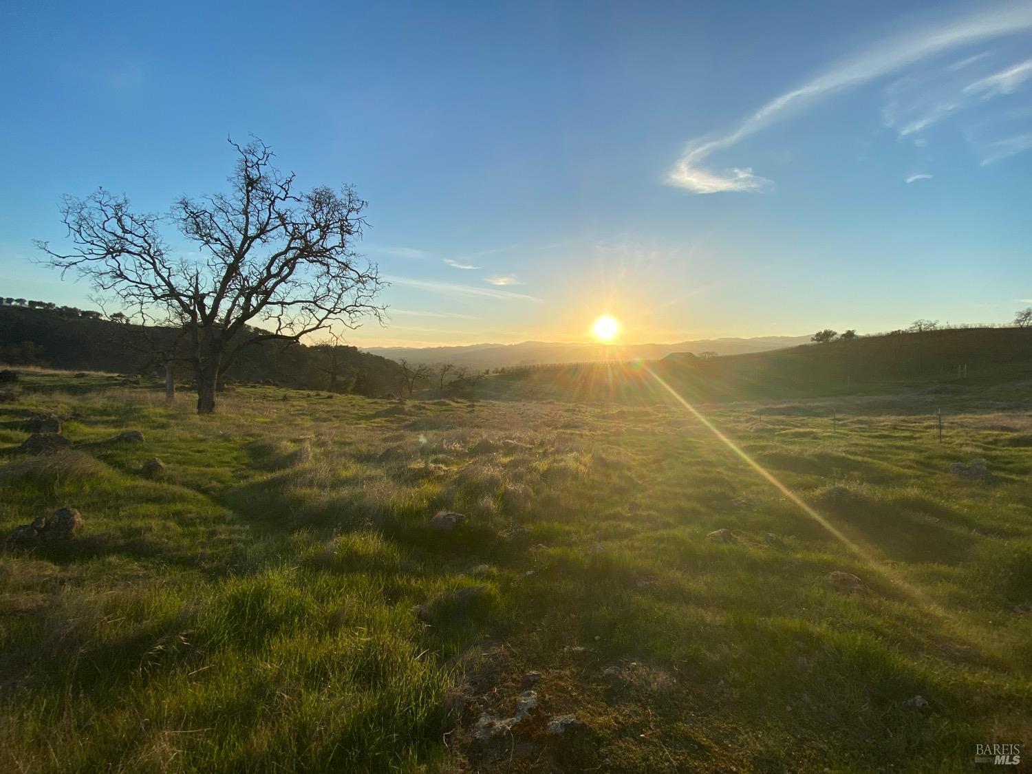 Detail Gallery Image 31 of 48 For 0 Chimney Rock Rd, Napa,  CA 94558 - – Beds | – Baths