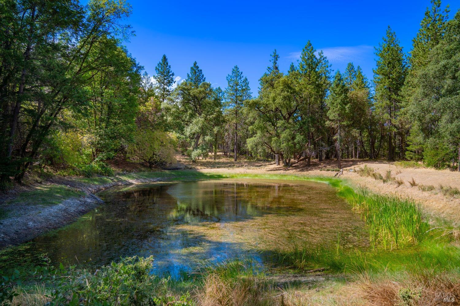 Detail Gallery Image 23 of 62 For 58380 Ca-162 Hwy, Covelo,  CA 95428 - – Beds | – Baths