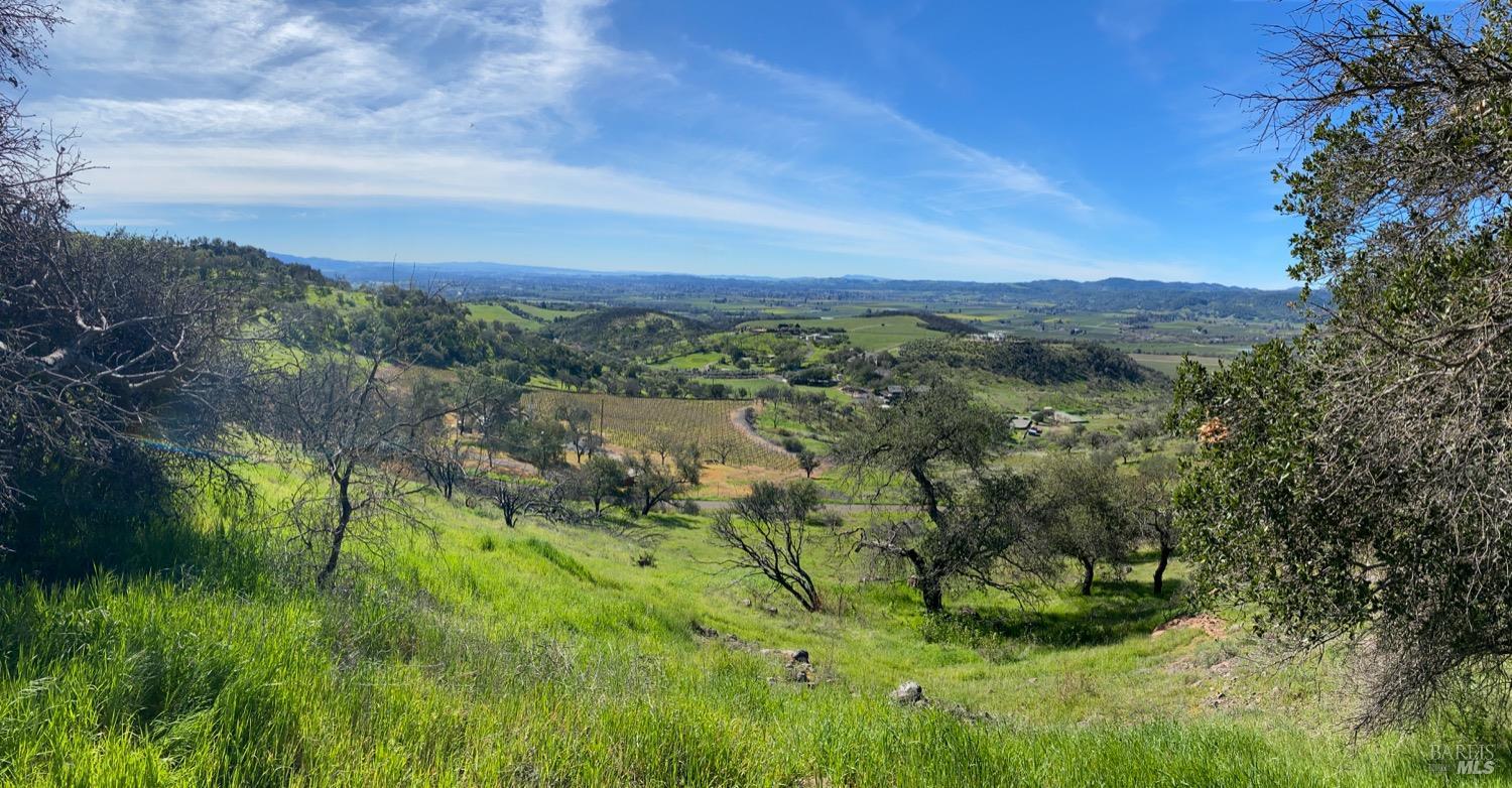 Detail Gallery Image 36 of 48 For 0 Chimney Rock Rd, Napa,  CA 94558 - – Beds | – Baths