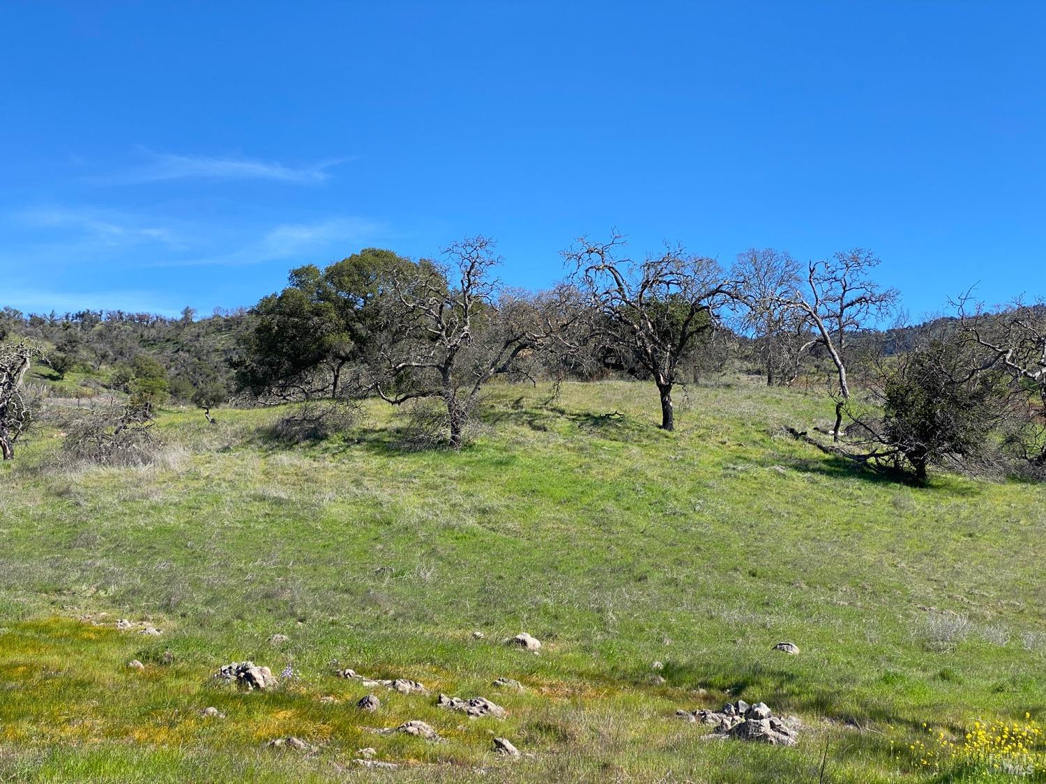 Detail Gallery Image 38 of 48 For 0 Chimney Rock Rd, Napa,  CA 94558 - – Beds | – Baths