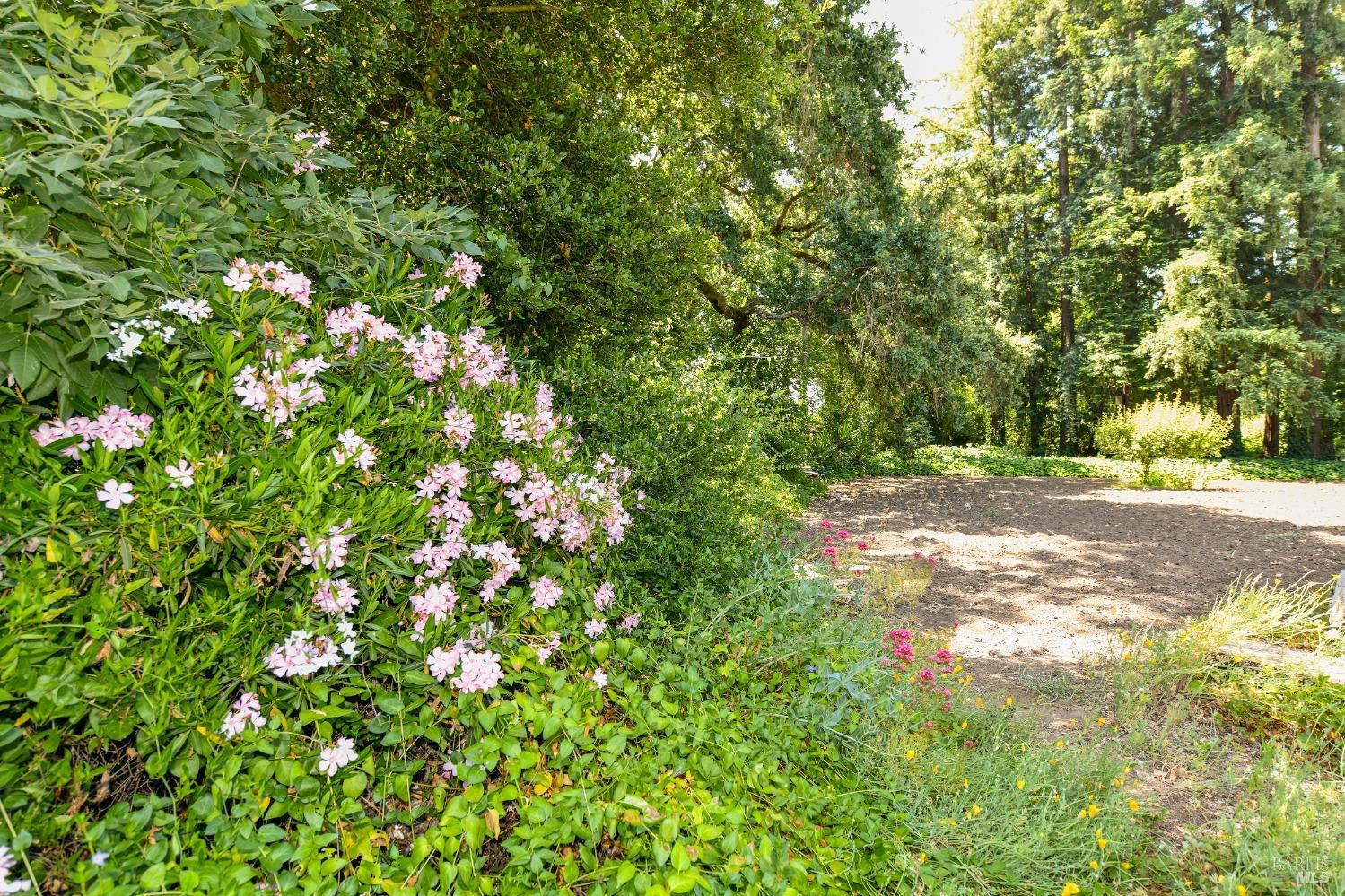 Detail Gallery Image 77 of 93 For 1039 Petra Dr, Napa,  CA 94558 - 3 Beds | 2 Baths