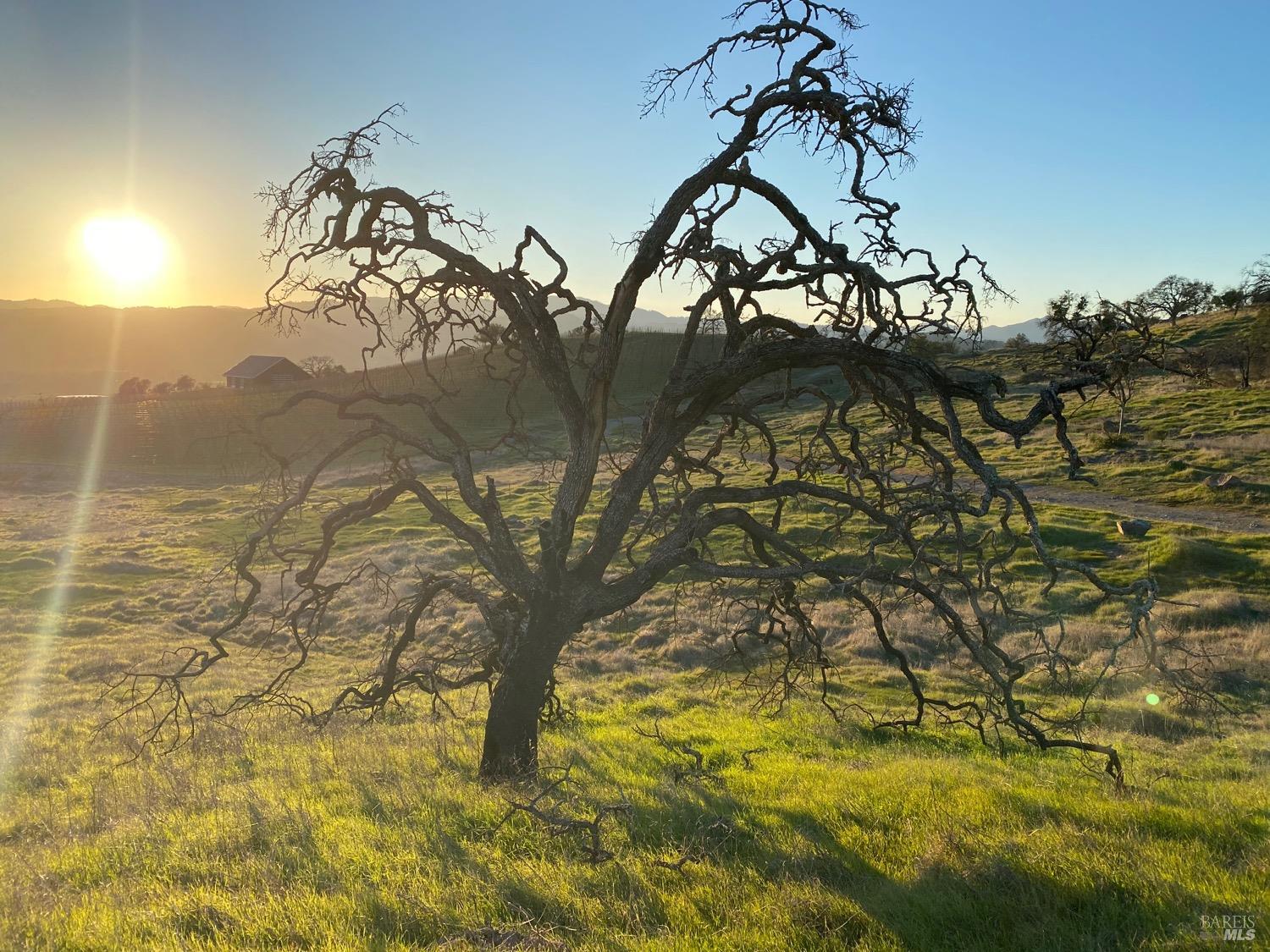 Detail Gallery Image 7 of 48 For 0 Chimney Rock Rd, Napa,  CA 94558 - – Beds | – Baths