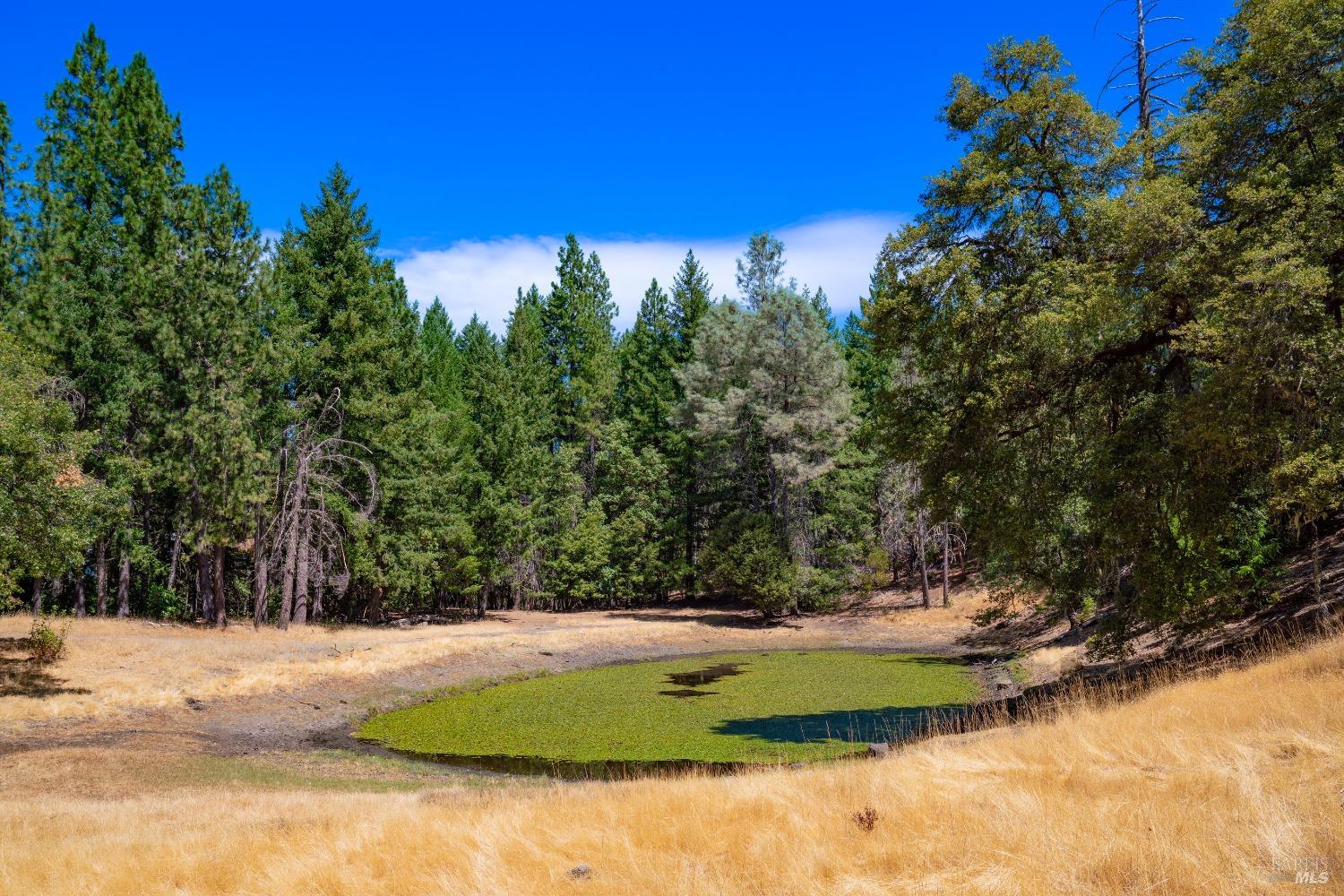 Detail Gallery Image 30 of 62 For 58380 Ca-162 Hwy, Covelo,  CA 95428 - – Beds | – Baths