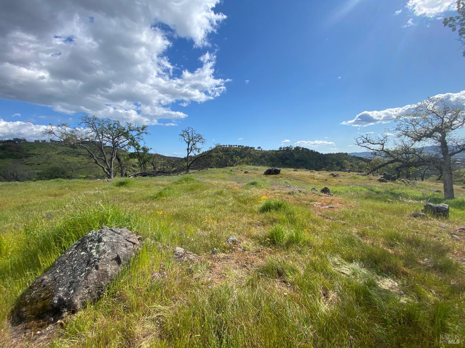 Detail Gallery Image 44 of 48 For 0 Chimney Rock Rd, Napa,  CA 94558 - – Beds | – Baths