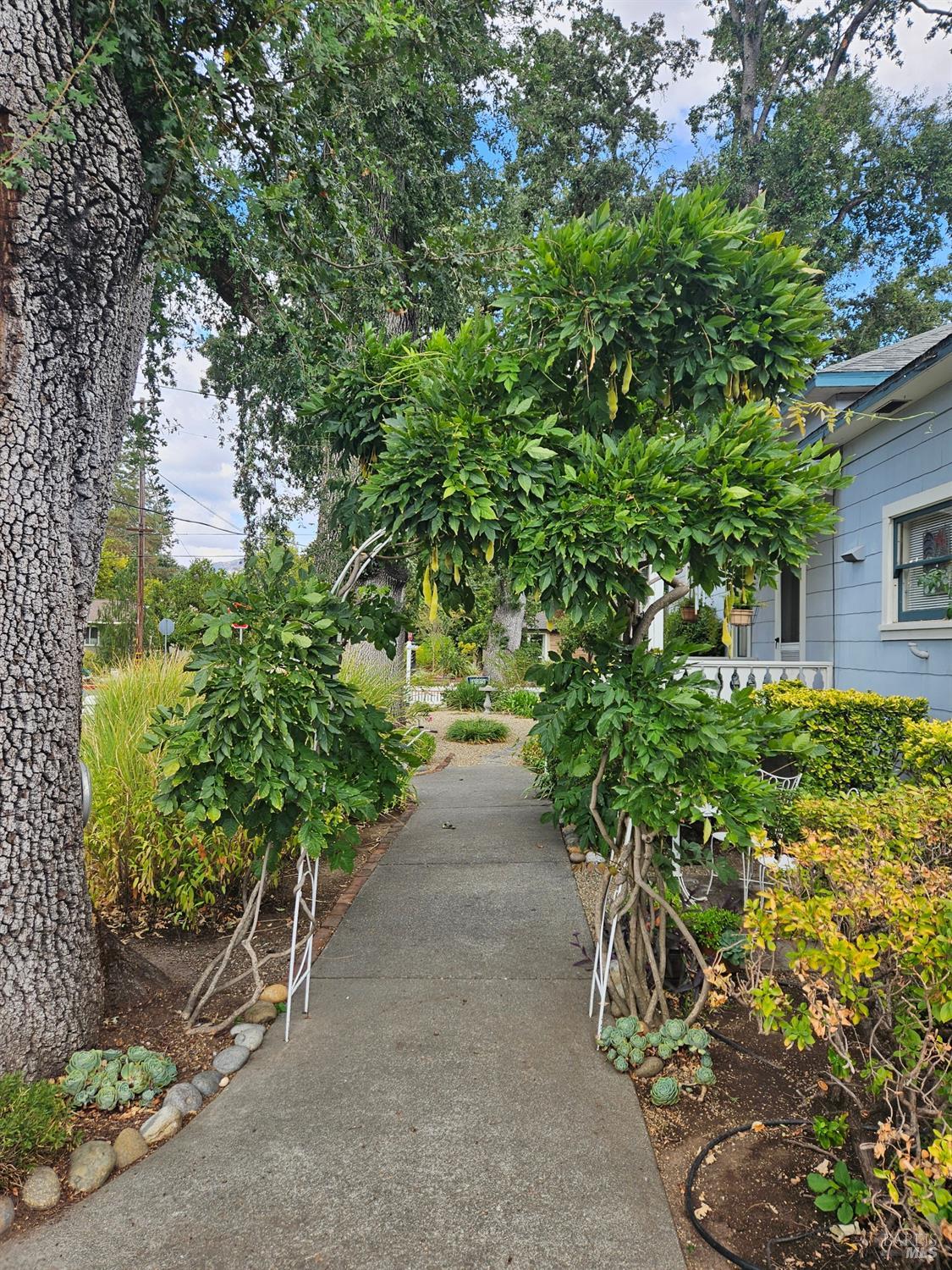 Detail Gallery Image 28 of 28 For 1521 Cedar St, Calistoga,  CA 94515 - 3 Beds | 3 Baths