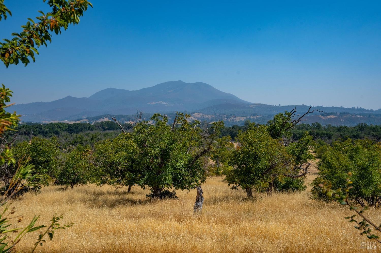 Detail Gallery Image 8 of 24 For 7366 Wight Way, Kelseyville,  CA 95451 - 3 Beds | 1 Baths