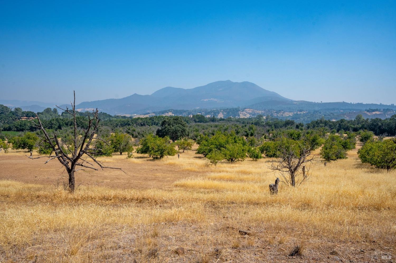 Detail Gallery Image 10 of 24 For 7366 Wight Way, Kelseyville,  CA 95451 - 3 Beds | 1 Baths