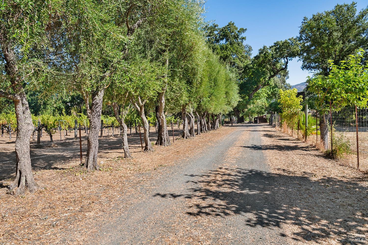 Detail Gallery Image 3 of 65 For 4104 Saint Helena Hwy, Calistoga,  CA 94515 - 4 Beds | 2 Baths