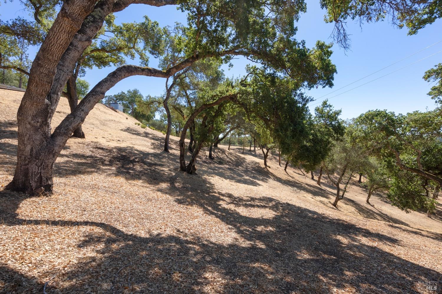 Detail Gallery Image 12 of 66 For 1990 Mark West Springs Rd, Santa Rosa,  CA 95404 - 2 Beds | 2 Baths