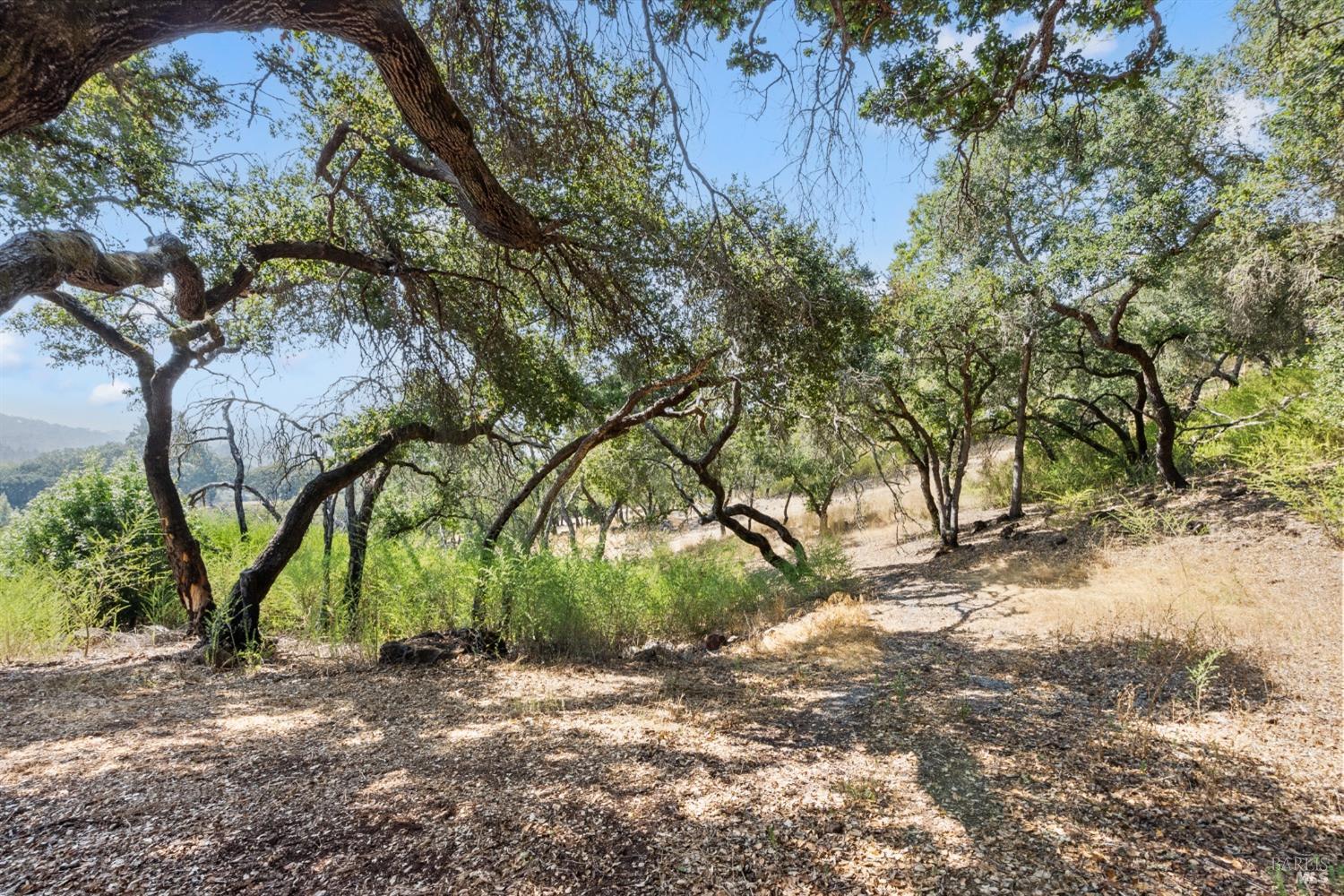 Detail Gallery Image 62 of 66 For 1990 Mark West Springs Rd, Santa Rosa,  CA 95404 - 2 Beds | 2 Baths