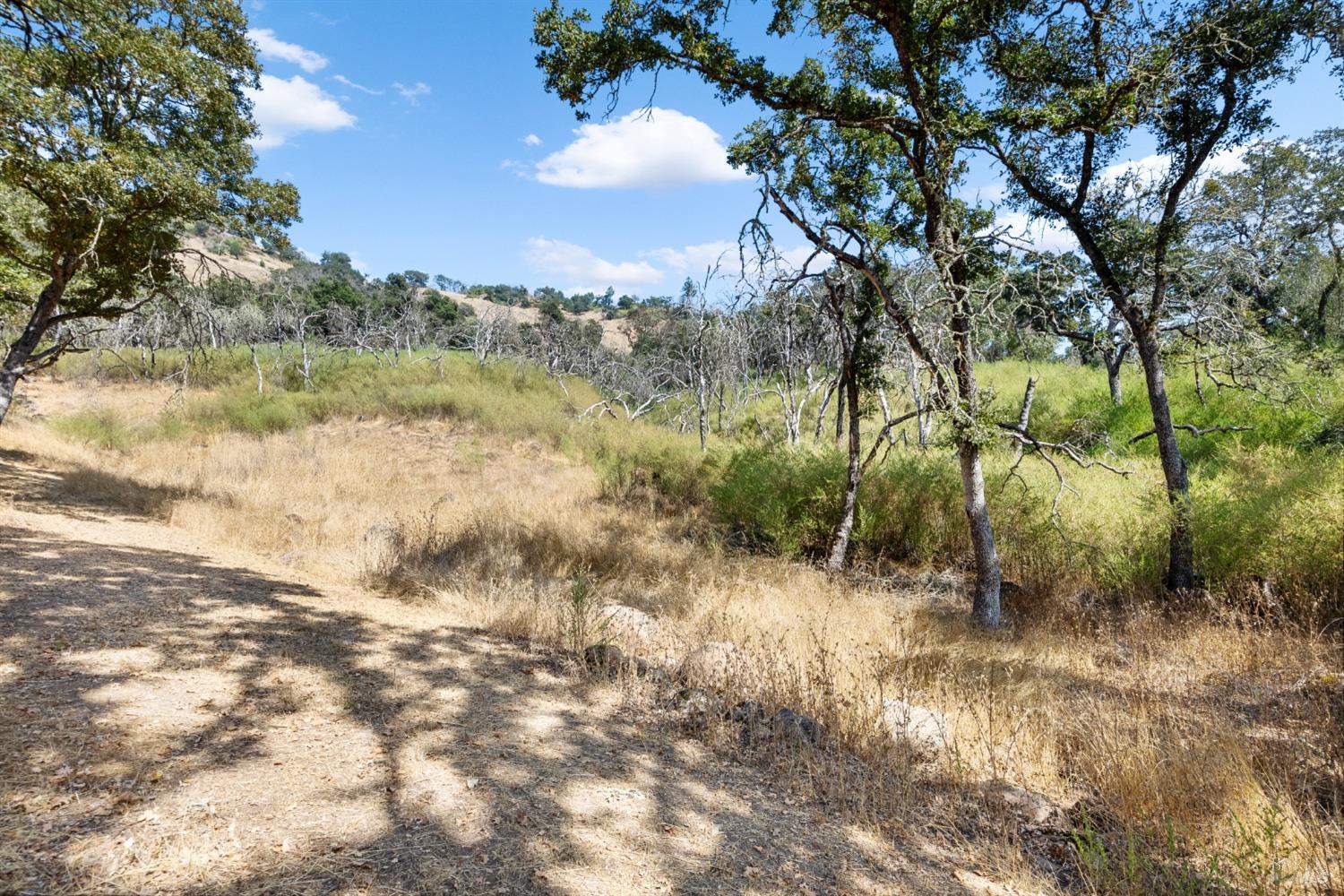 Detail Gallery Image 56 of 66 For 1990 Mark West Springs Rd, Santa Rosa,  CA 95404 - 2 Beds | 2 Baths