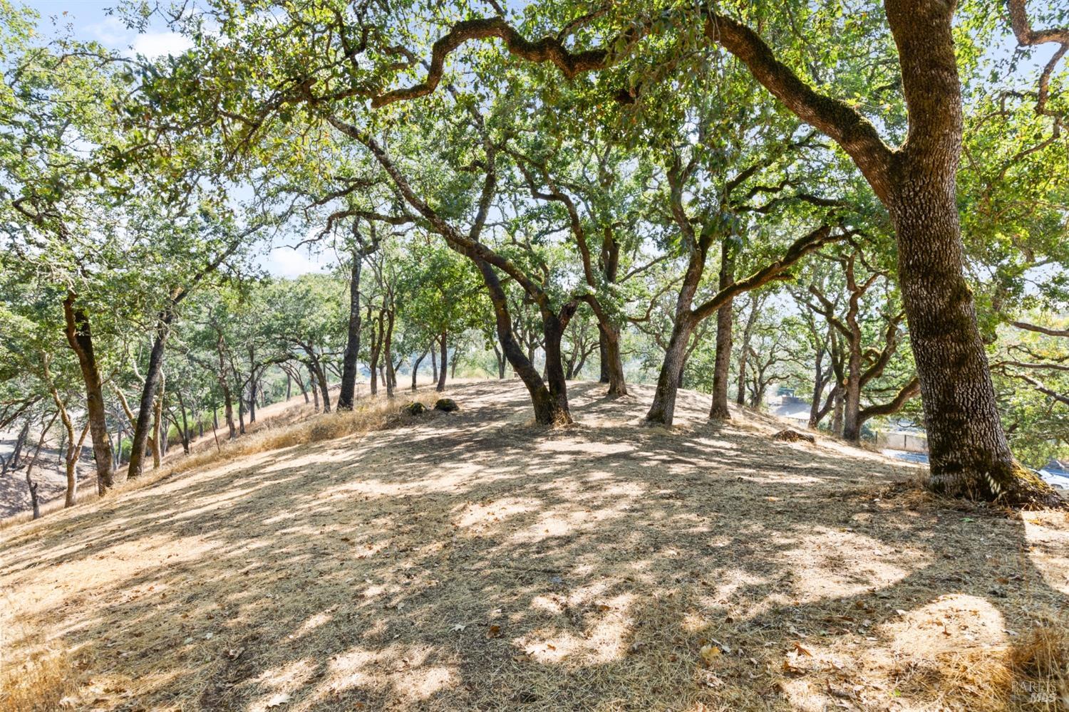 Detail Gallery Image 17 of 66 For 1990 Mark West Springs Rd, Santa Rosa,  CA 95404 - 2 Beds | 2 Baths