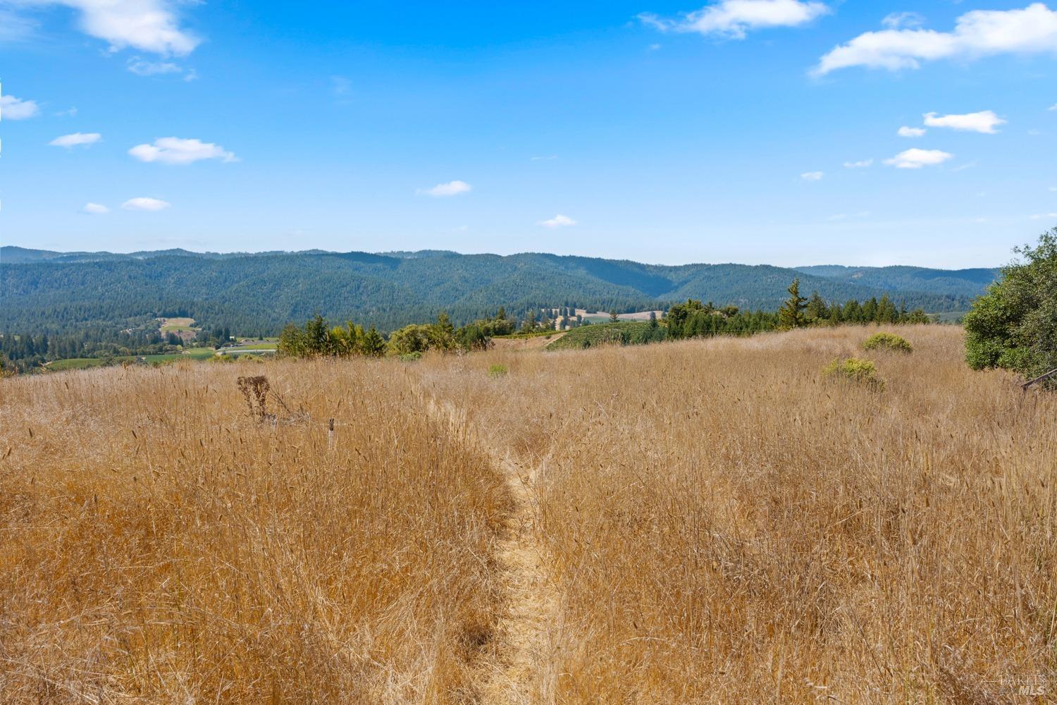 Detail Gallery Image 2 of 15 For 6200 Lazy Springs Rd, Philo,  CA 95466 - 3 Beds | 2 Baths