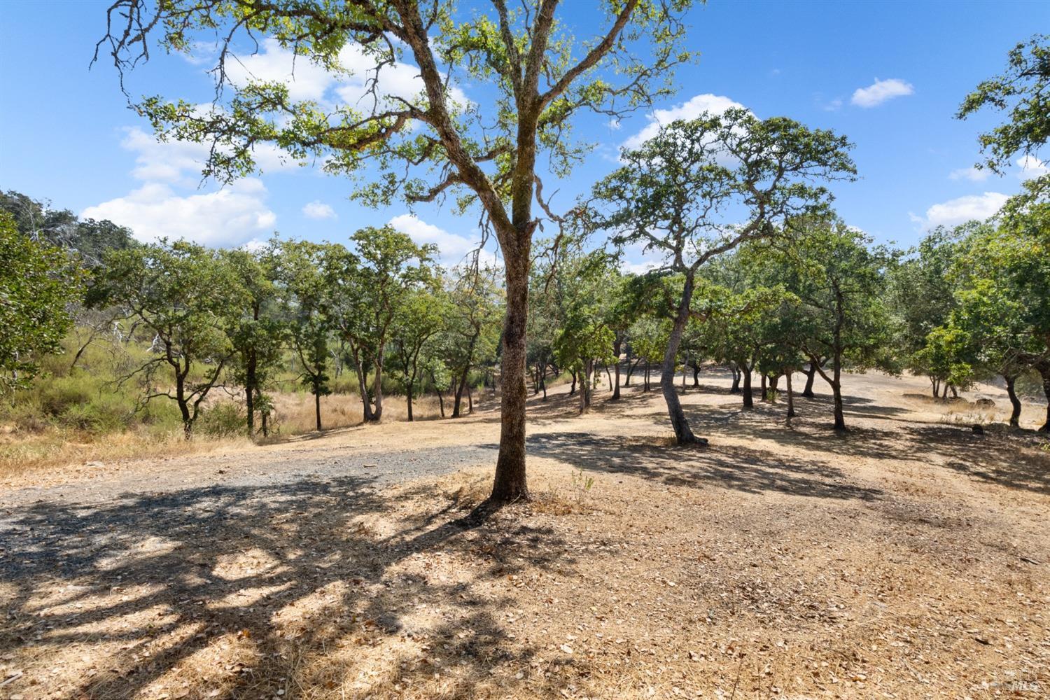 Detail Gallery Image 59 of 66 For 1990 Mark West Springs Rd, Santa Rosa,  CA 95404 - 2 Beds | 2 Baths