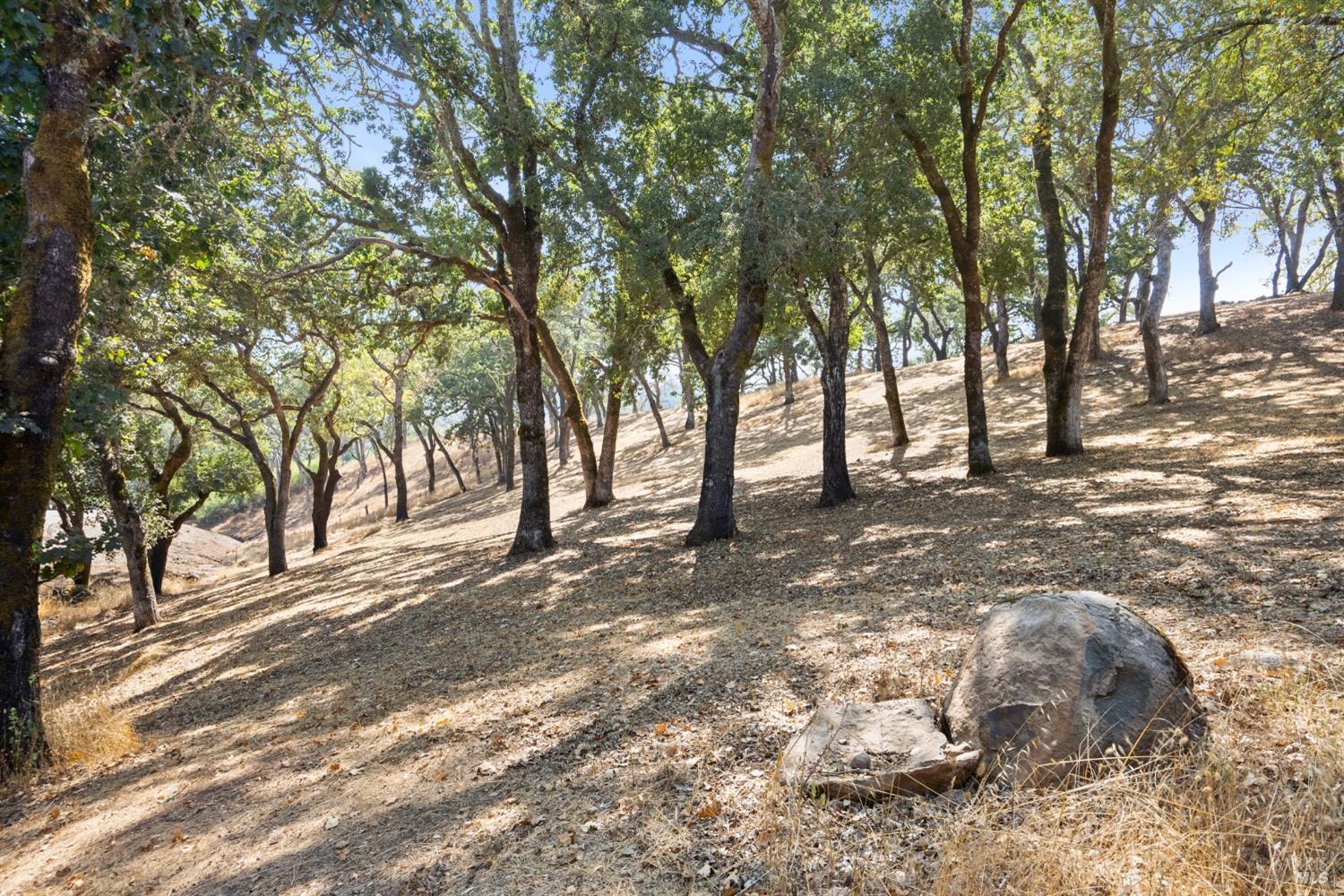 Detail Gallery Image 55 of 66 For 1990 Mark West Springs Rd, Santa Rosa,  CA 95404 - 2 Beds | 2 Baths