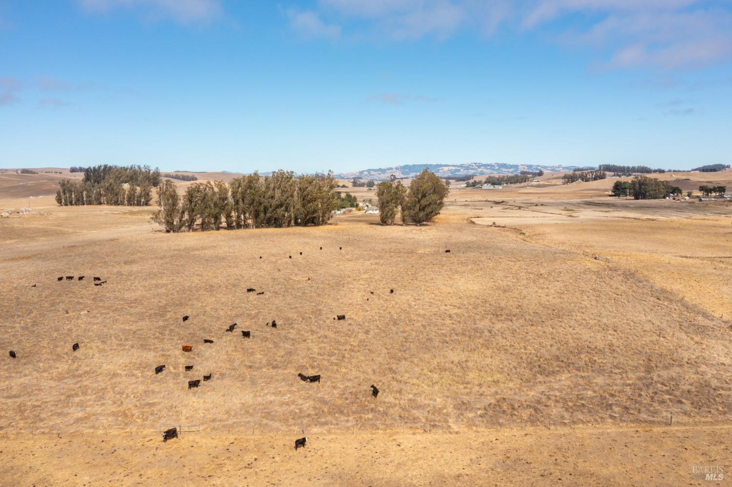 Detail Gallery Image 20 of 48 For 530 Tomales Rd, Petaluma,  CA 94952 - 2 Beds | 1/1 Baths