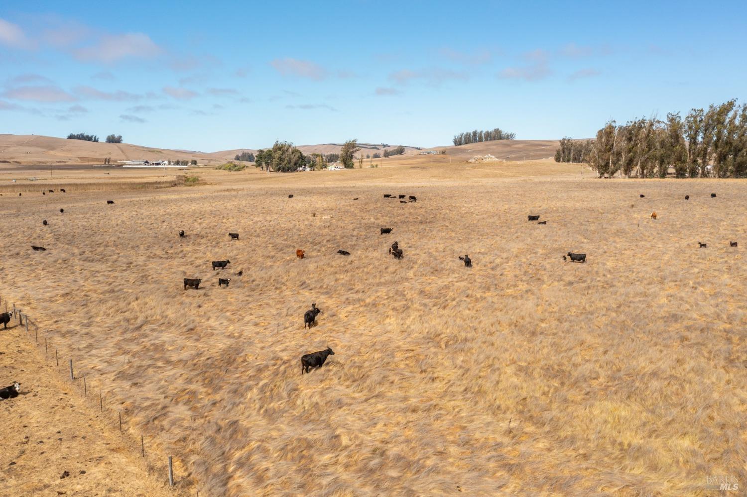 Detail Gallery Image 19 of 48 For 530 Tomales Rd, Petaluma,  CA 94952 - 2 Beds | 1/1 Baths