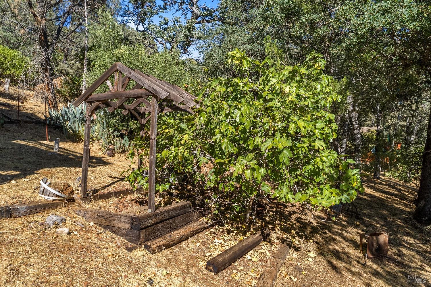 Detail Gallery Image 62 of 83 For 8169 Little Borax Lake Rd, Kelseyville,  CA 95451 - 5 Beds | 3/1 Baths