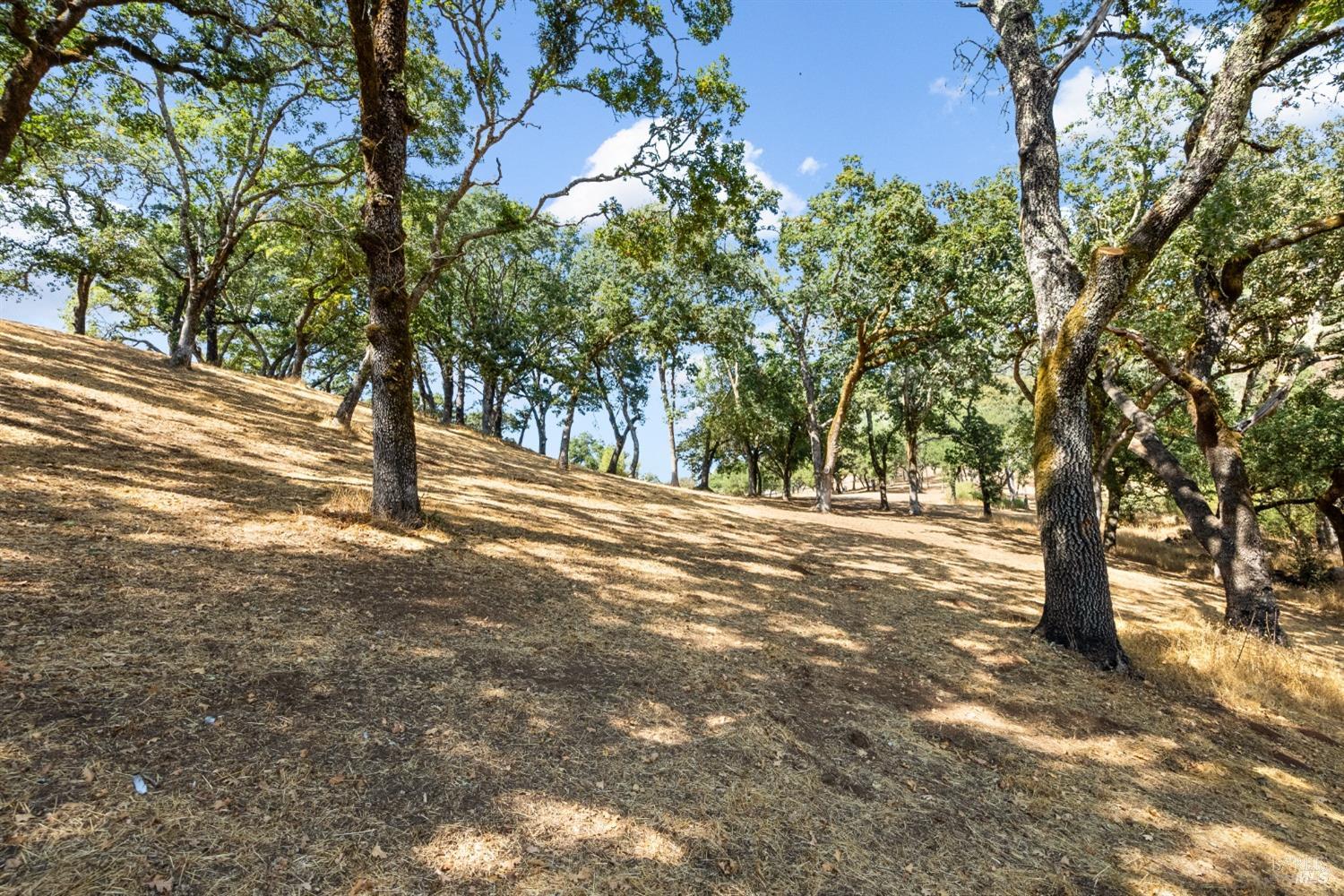 Detail Gallery Image 18 of 66 For 1990 Mark West Springs Rd, Santa Rosa,  CA 95404 - 2 Beds | 2 Baths