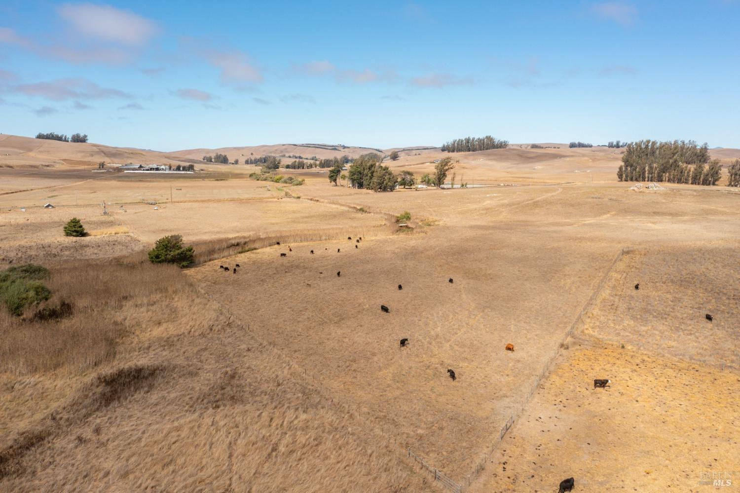 Detail Gallery Image 22 of 48 For 530 Tomales Rd, Petaluma,  CA 94952 - 2 Beds | 1/1 Baths