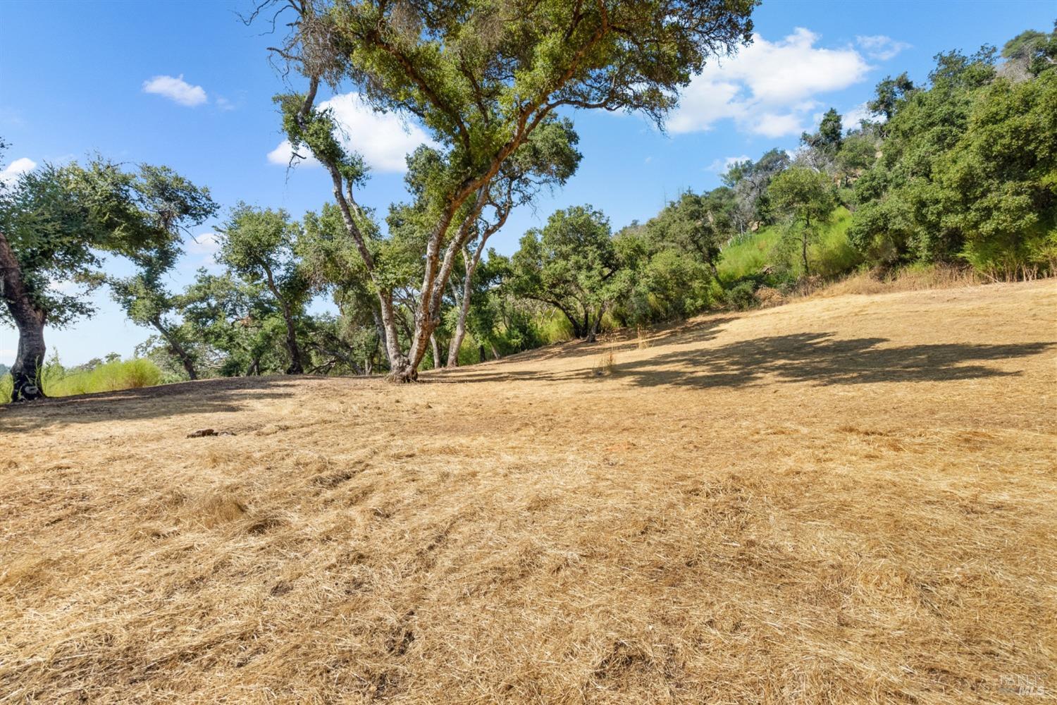 Detail Gallery Image 63 of 66 For 1990 Mark West Springs Rd, Santa Rosa,  CA 95404 - 2 Beds | 2 Baths