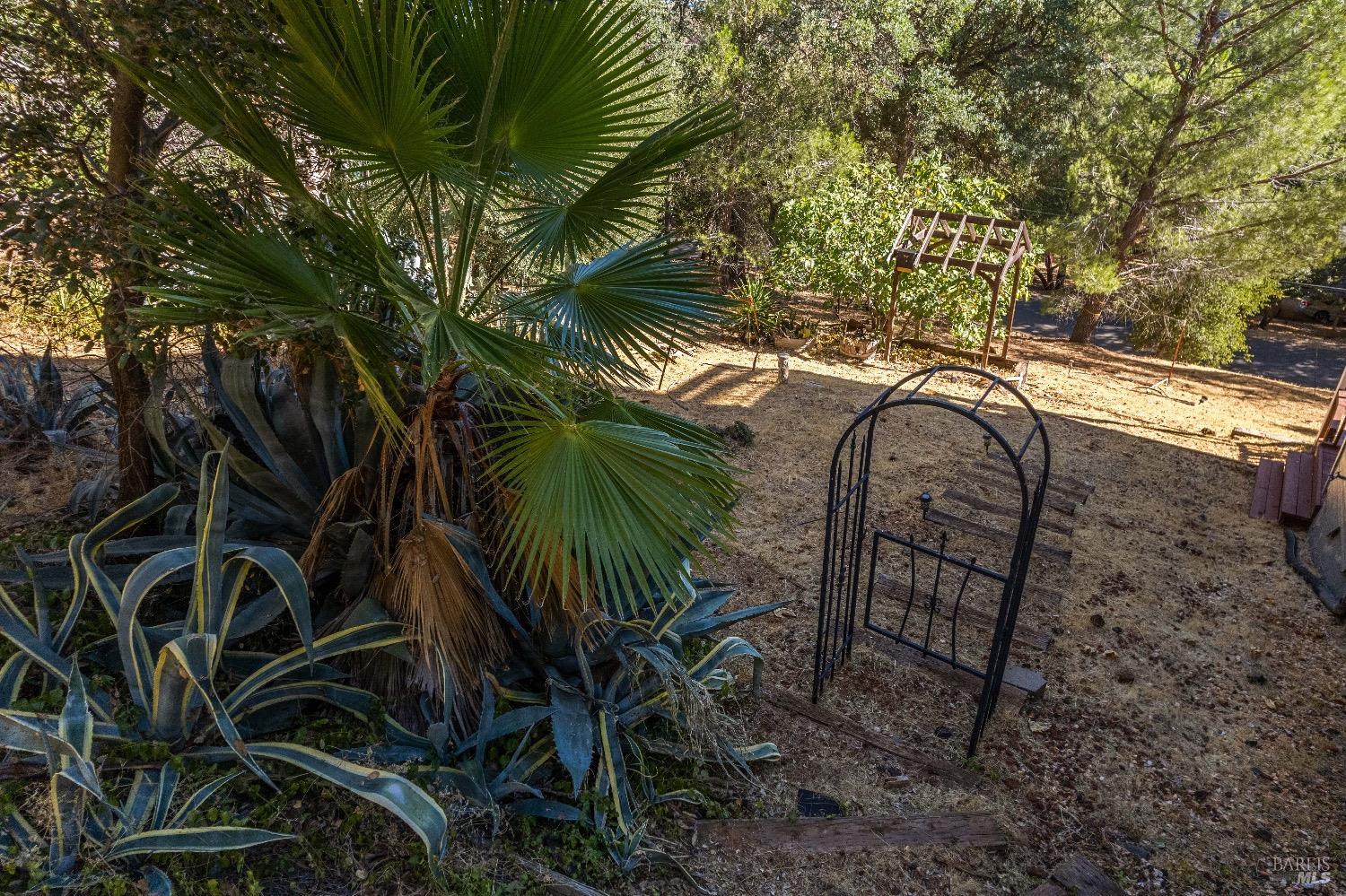 Detail Gallery Image 65 of 83 For 8169 Little Borax Lake Rd, Kelseyville,  CA 95451 - 5 Beds | 3/1 Baths