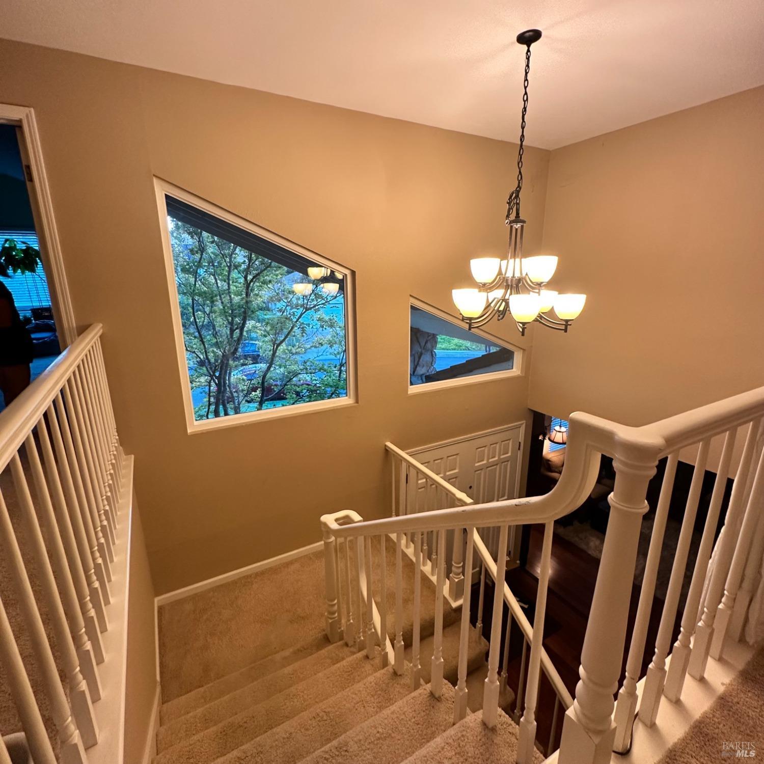 Detail Gallery Image 51 of 95 For 6 Paddock Ct, Pleasant Hill,  CA 94523 - 5 Beds | 2/1 Baths