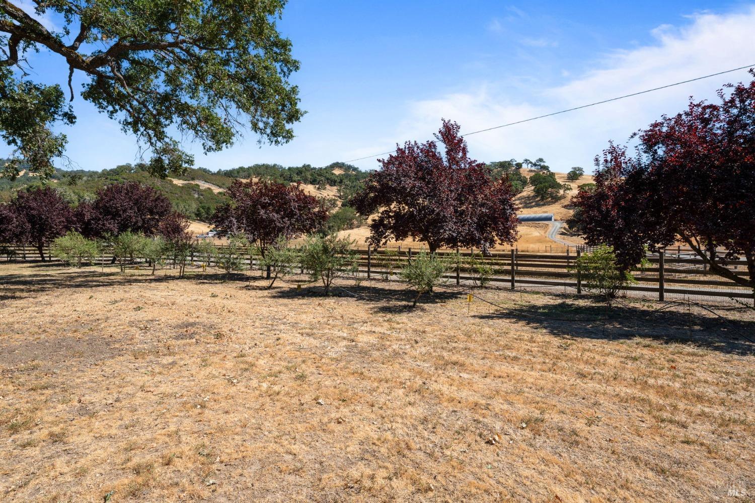 Detail Gallery Image 45 of 52 For 3700 Feliz Creek Rd, Hopland,  CA 95449 - 3 Beds | 3 Baths