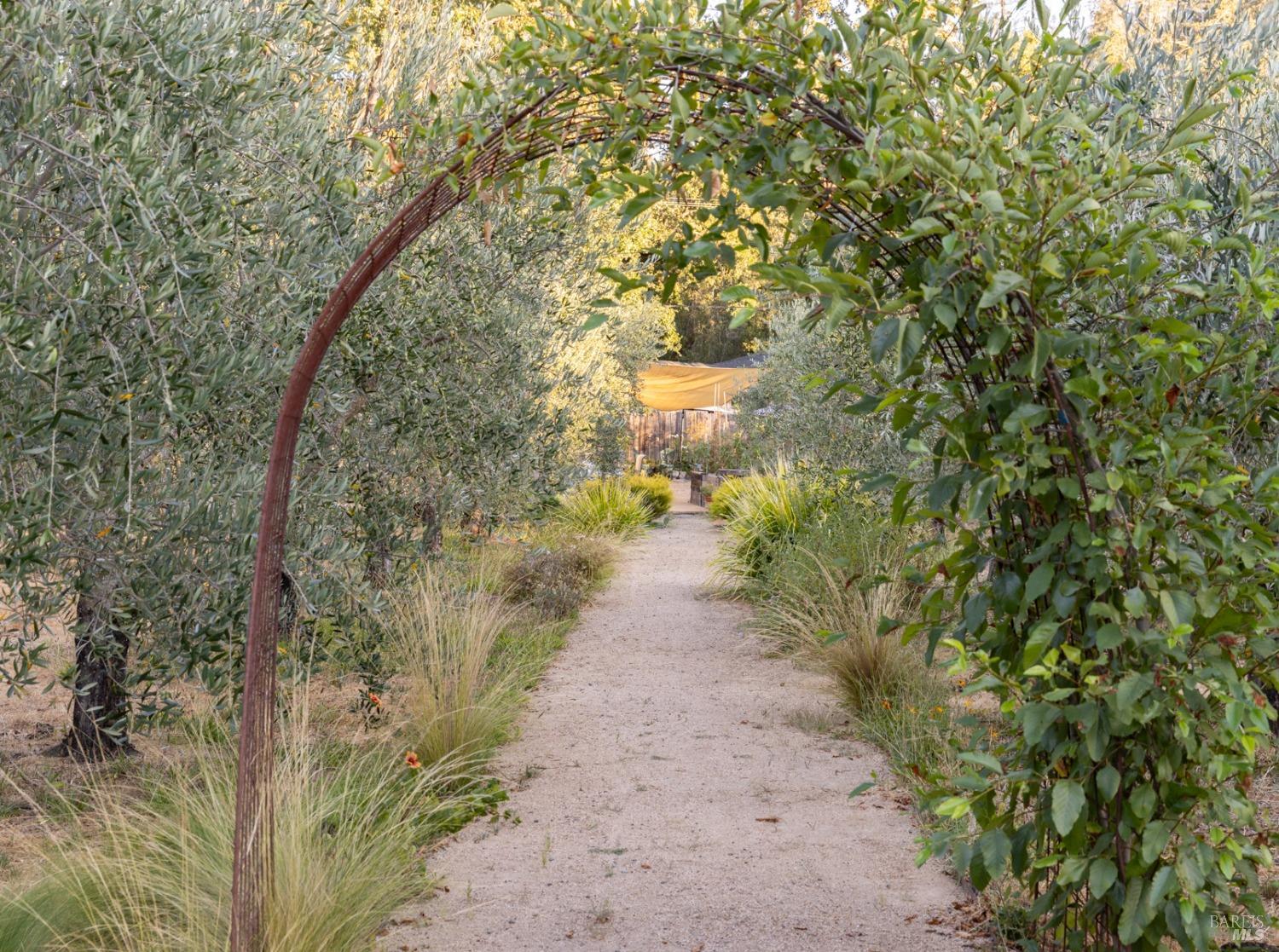 Detail Gallery Image 27 of 48 For 601 Rossi Rd, Saint Helena,  CA 94574 - 3 Beds | 2 Baths