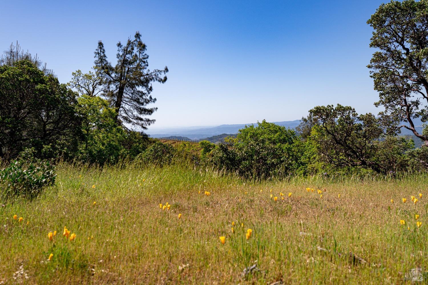 Detail Gallery Image 17 of 42 For 33360 Pine Mt. Rd, Cloverdale,  CA 95425 - 1 Beds | 1 Baths