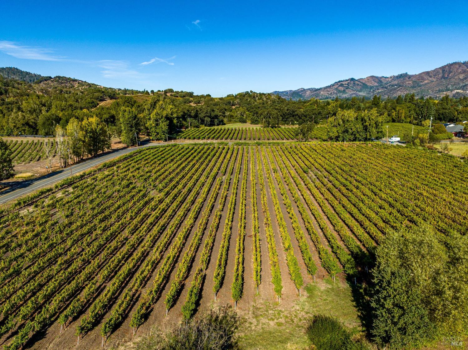 Nestled in the heart of Kenwood, this 18-acre exclusive offering of meticulously maintained premium vineyards await your horticulture visions and opportunities.  The property's five separate parcels and accommodations - including an ag. well irrigation system to help support your ground's varietals of Sauvignon Blanc, with a small block of Malbec.  All five parcels offer residential development potential, with infrastructure entitlements needing to be perfected. Kickstart vigneron dreams or simply enjoy the privacy of your idyllic wine country escape, this rare opportunity provides a fresh canvas to create your ultimate Estate living visions. Located in picturesque Kenwood, with world-class hiking & riding trails, and surrounded by renowned wineries.