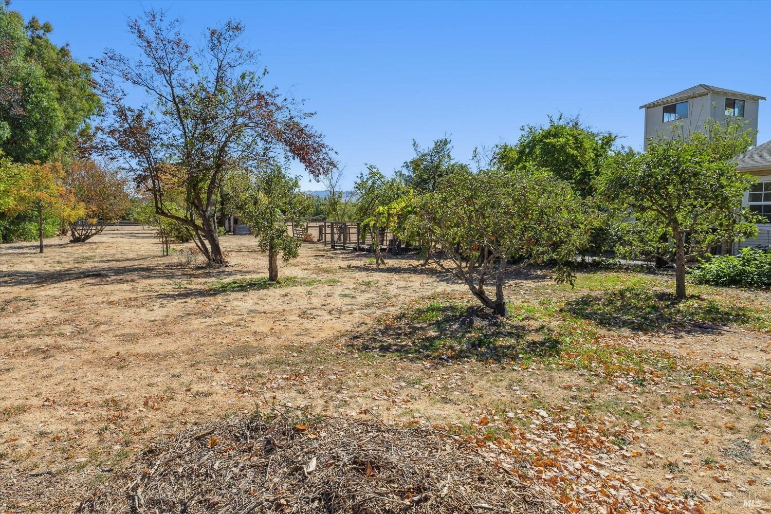 Detail Gallery Image 29 of 87 For 4344 Langner Ave, Santa Rosa,  CA 95407 - 7 Beds | 3/1 Baths