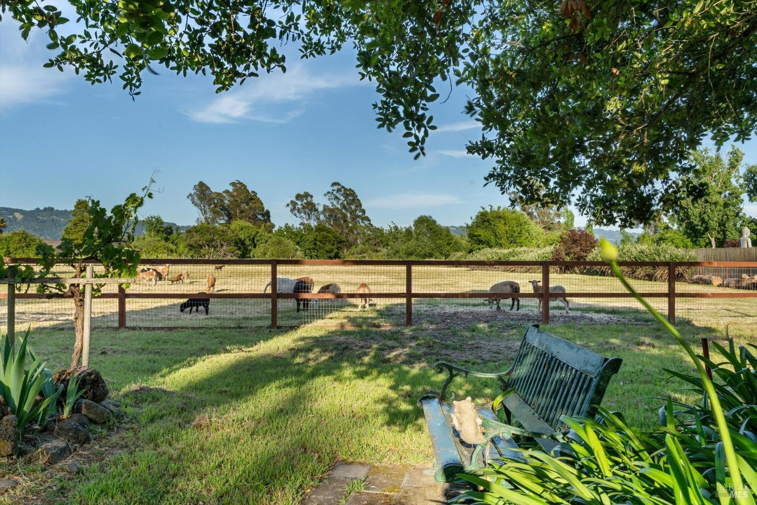 Detail Gallery Image 52 of 87 For 4344 Langner Ave, Santa Rosa,  CA 95407 - 7 Beds | 3/1 Baths