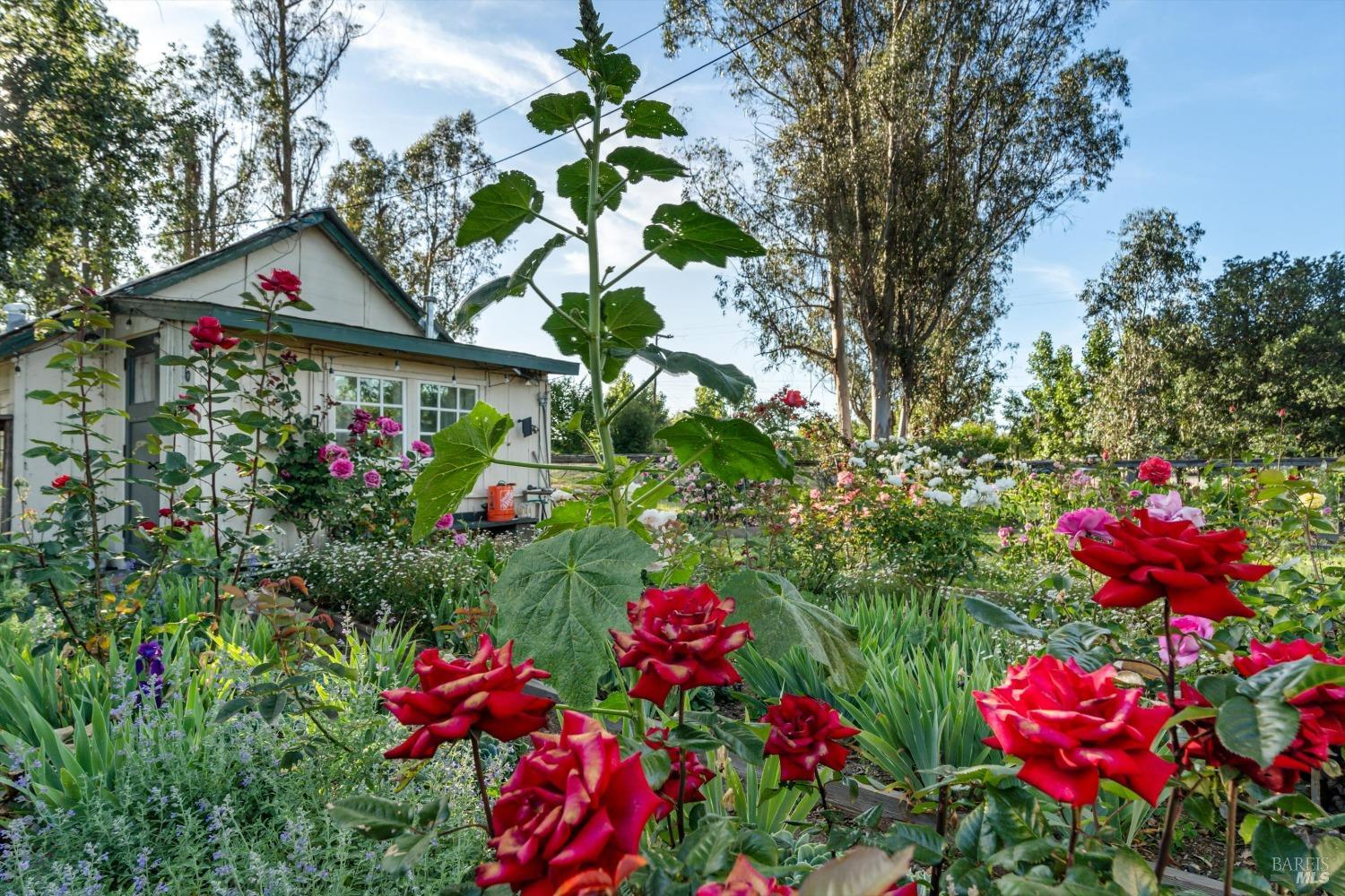 Detail Gallery Image 39 of 87 For 4344 Langner Ave, Santa Rosa,  CA 95407 - 7 Beds | 3/1 Baths